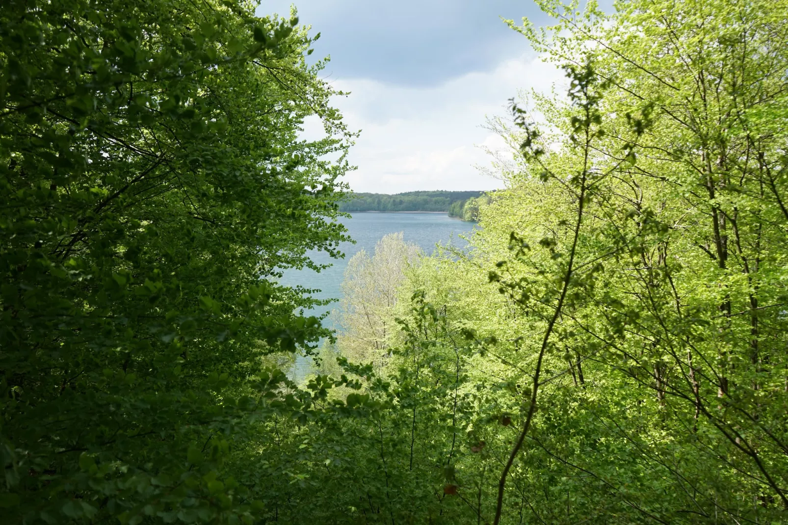 Marina 1 Bedroom Apartment 3 guest - Gebieden zomer 20km