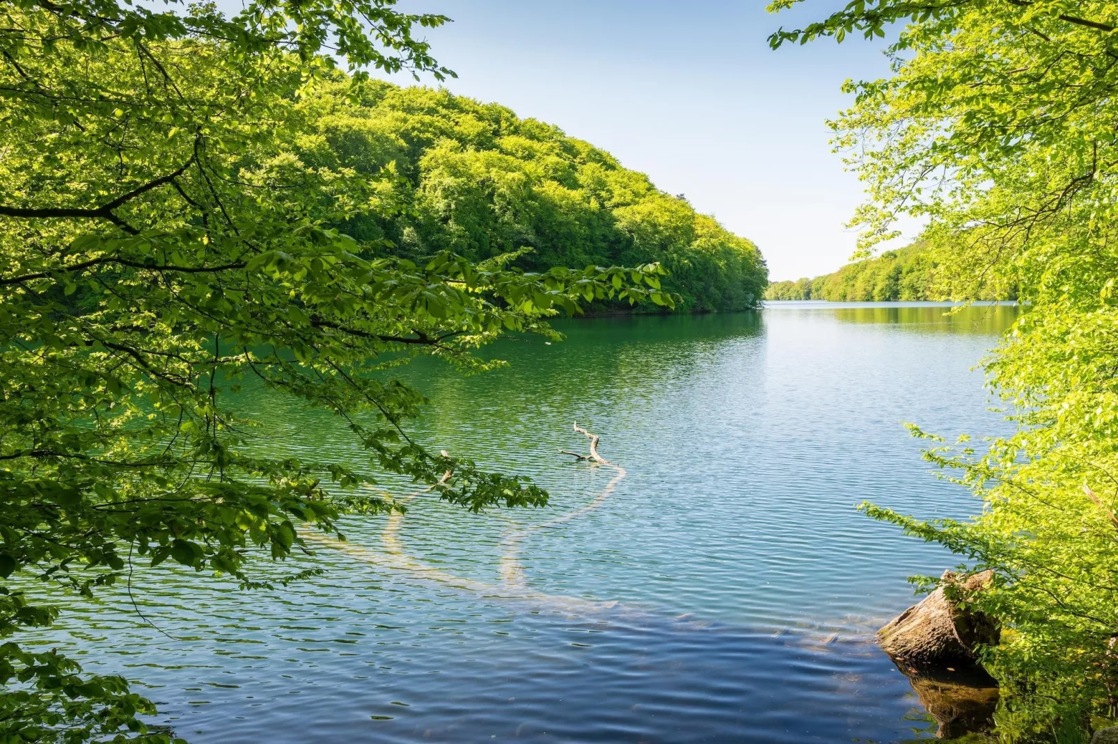 Standard Suite Room - Gebieden zomer 20km