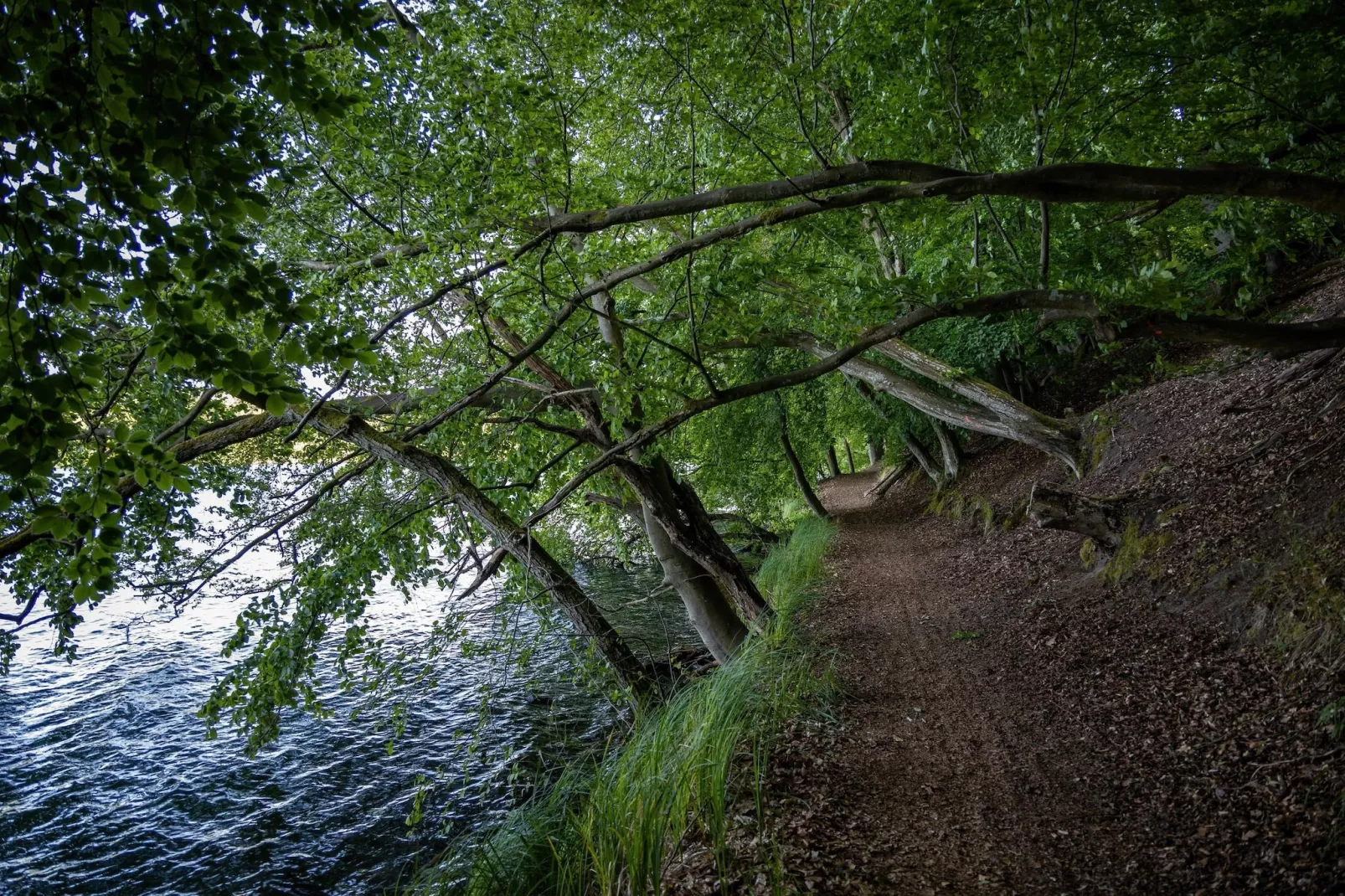 Family Room - Gebieden zomer 20km