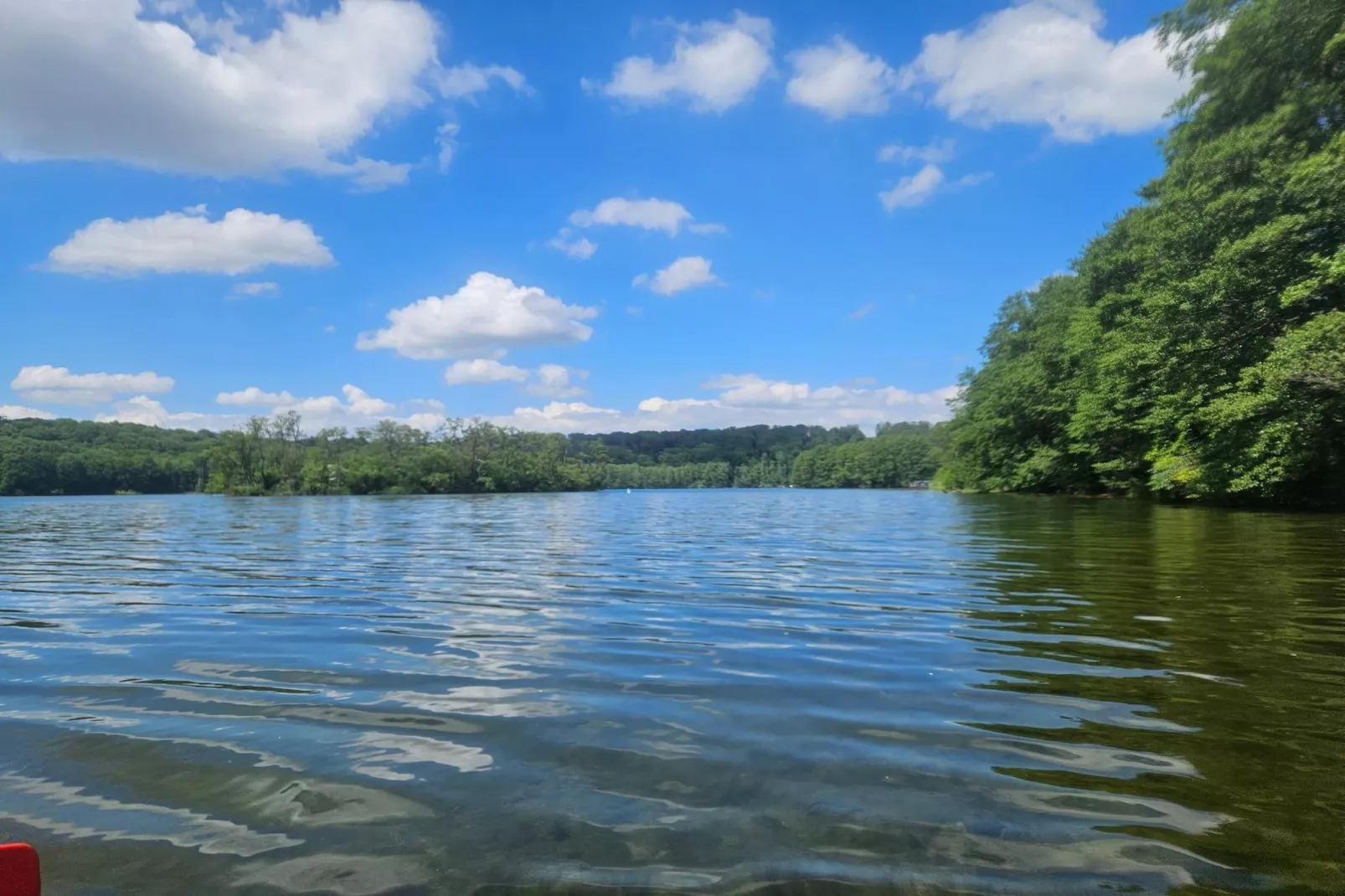 Single Room - Gebieden zomer 20km