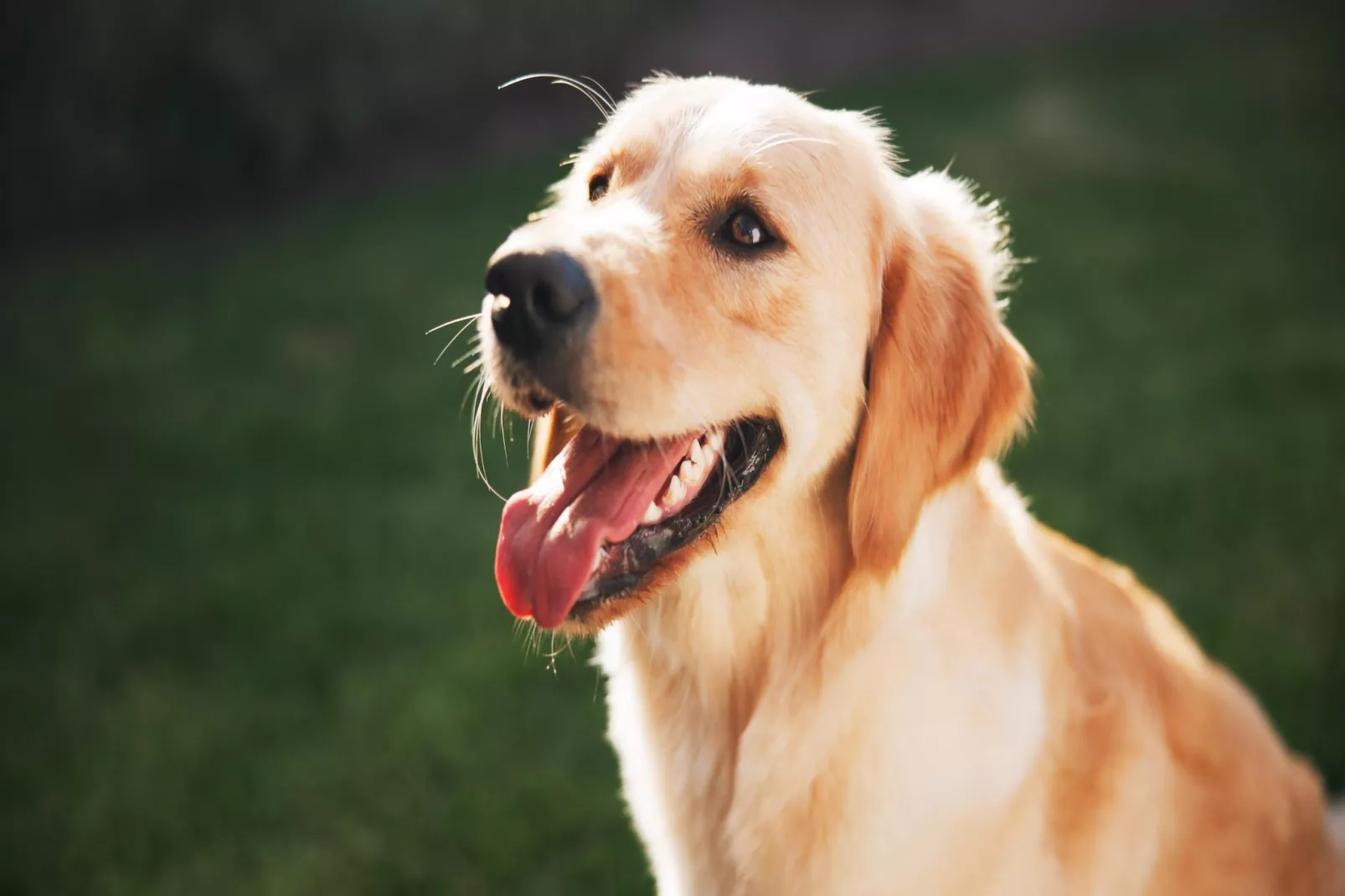 Marina 1 Bedroom Apartment 3 guest - Sfeer