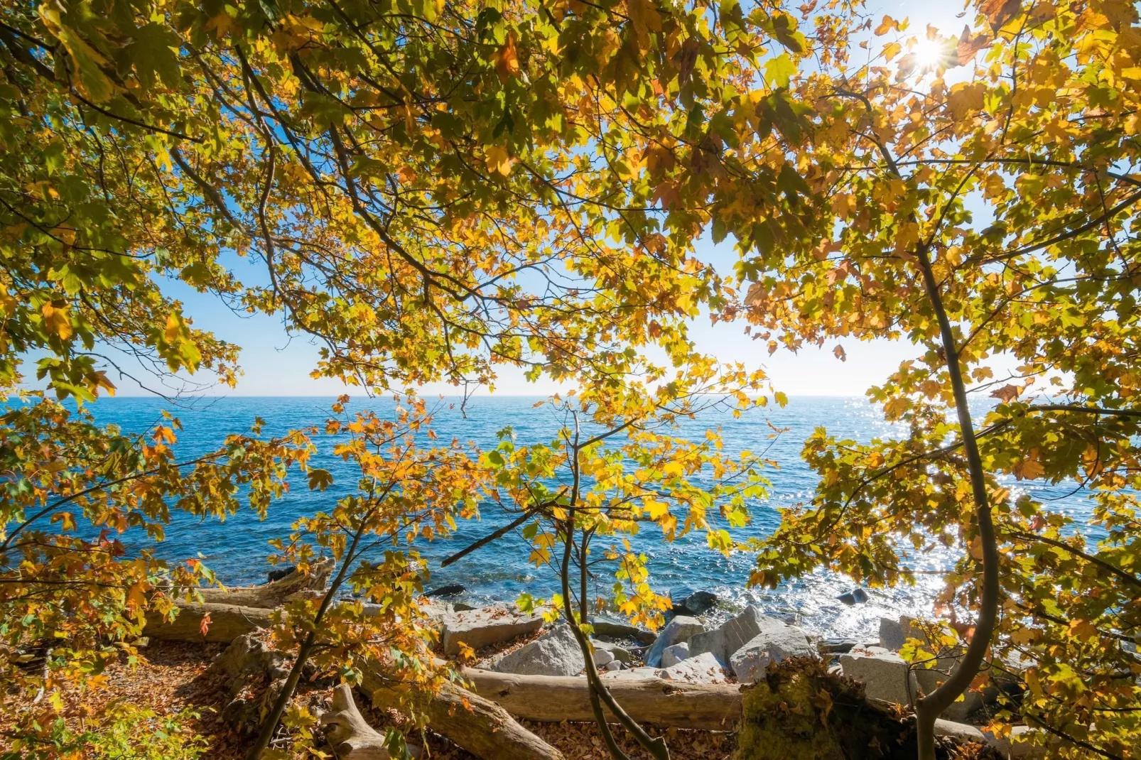 Sunday Resort Rügen 1-Bedroom Apartment - Gebieden zomer 20km
