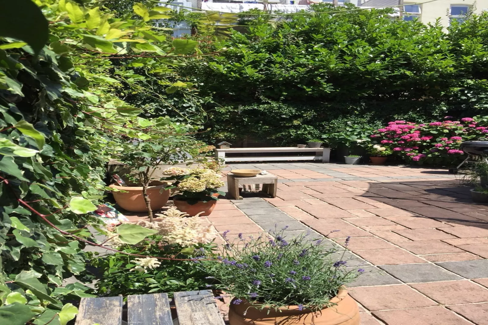 Huize Columbus-Buitenkant zomer