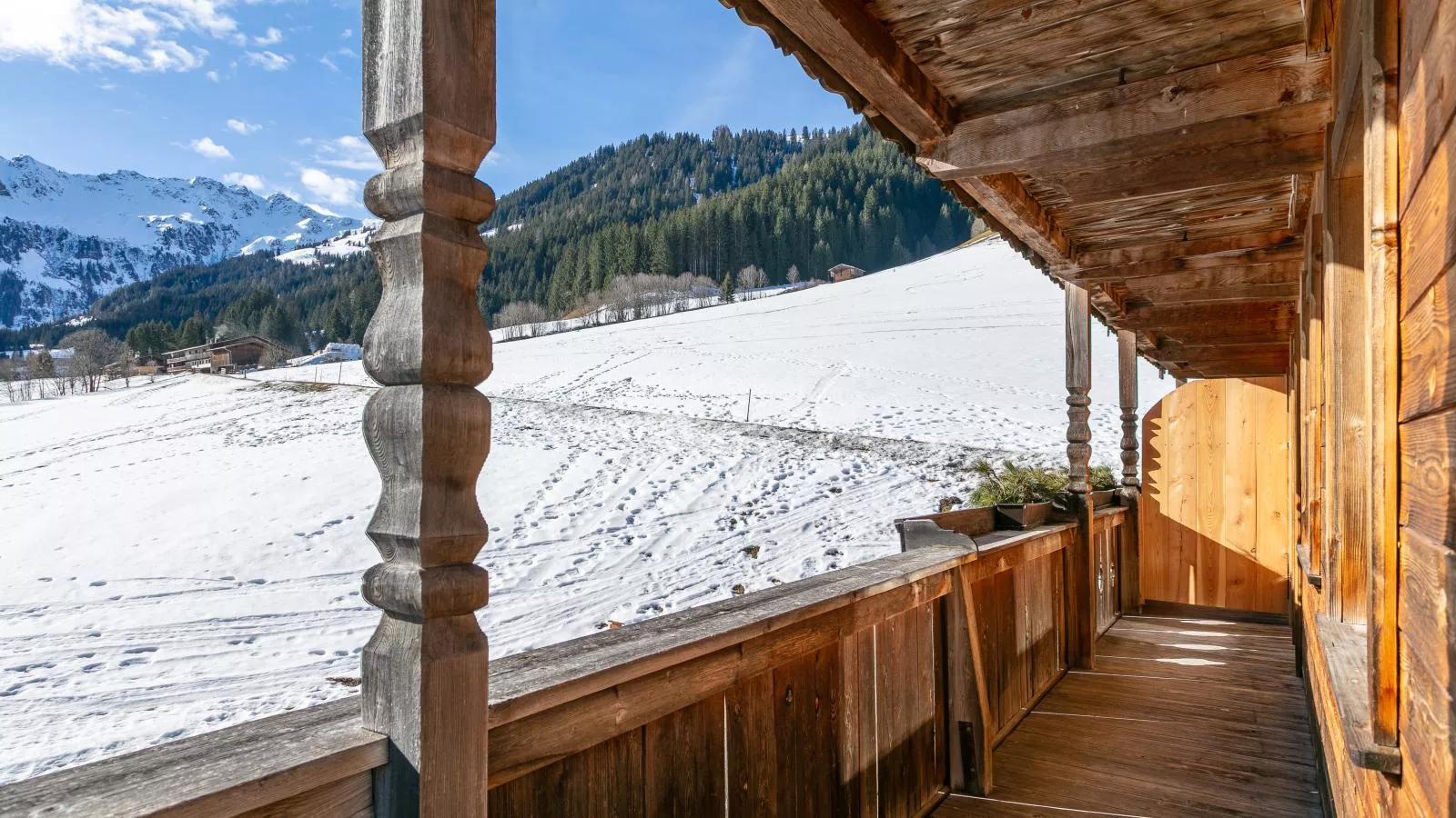 Hacklerhof Top 3 - Terrasbalkon