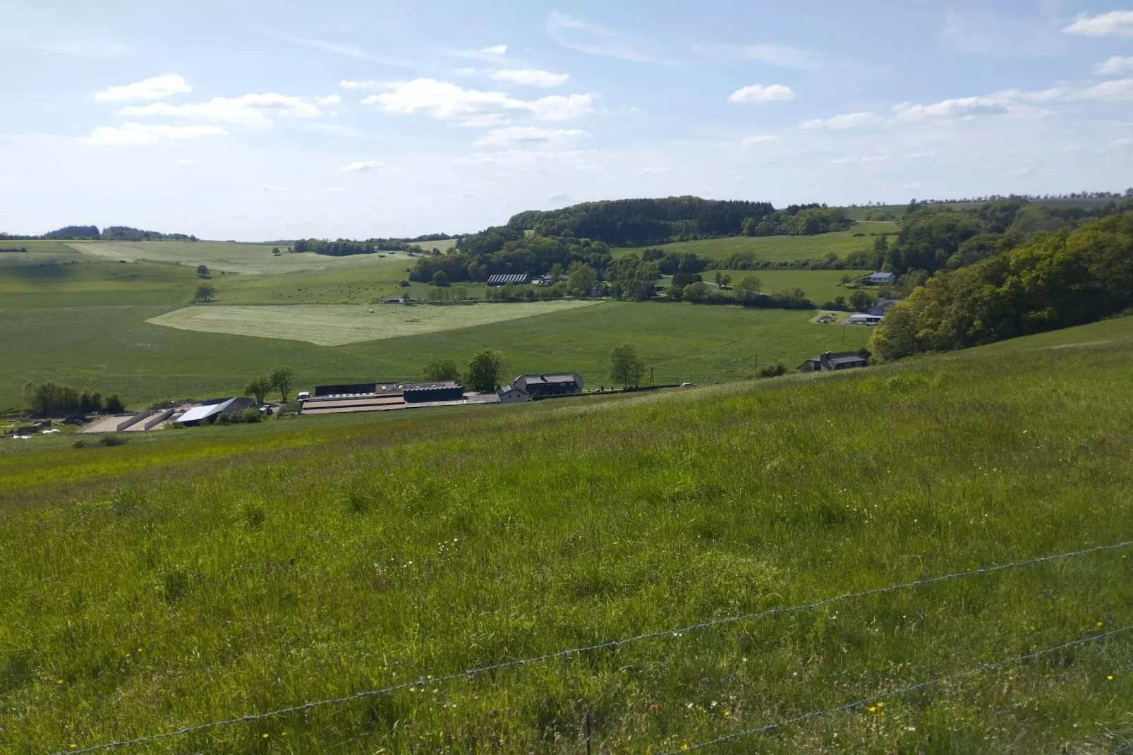 Ferienwohnung Winkel in der Vulkaneifel-Gebieden zomer 5km