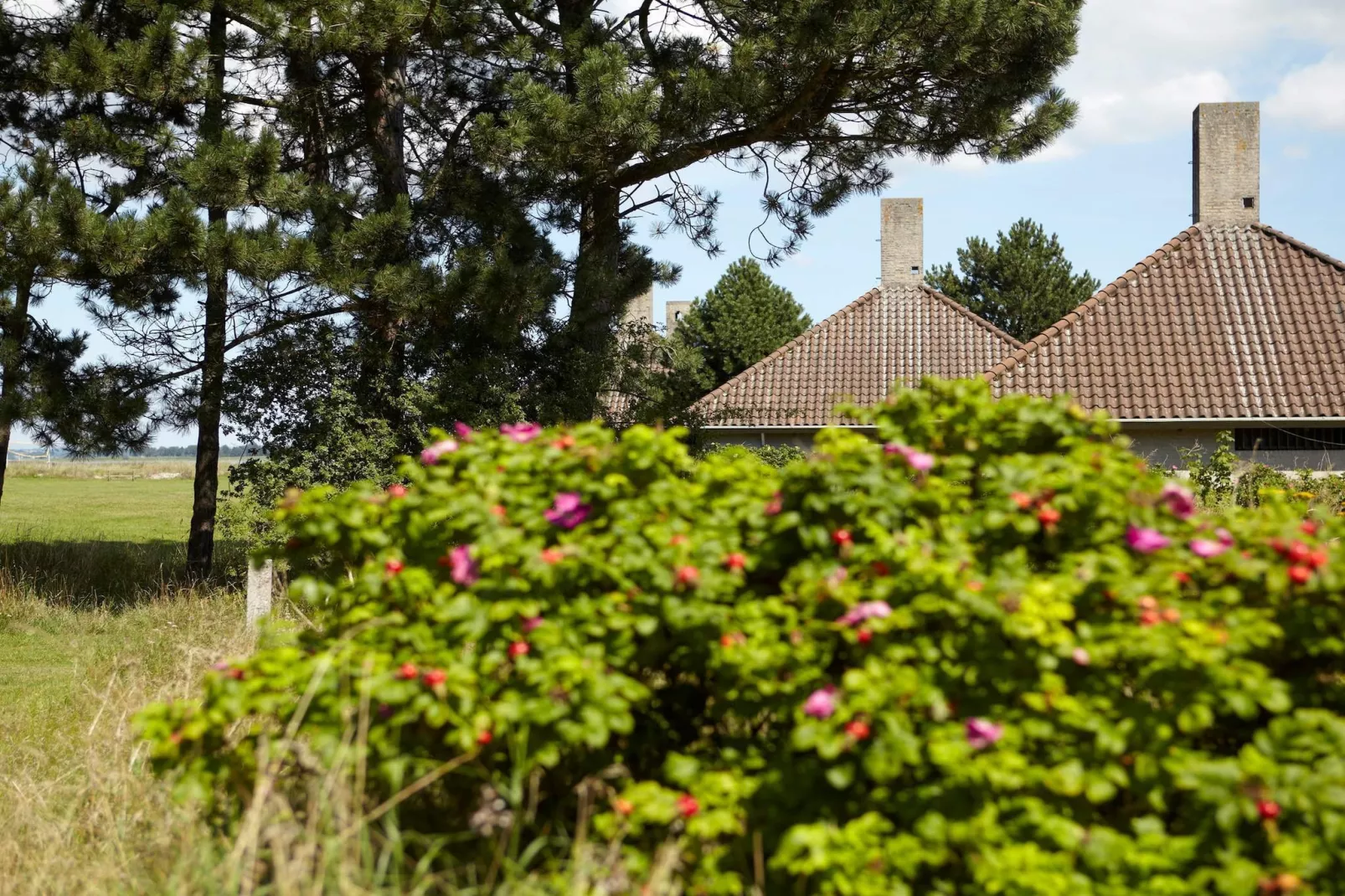 2 room Standard-Buitenlucht