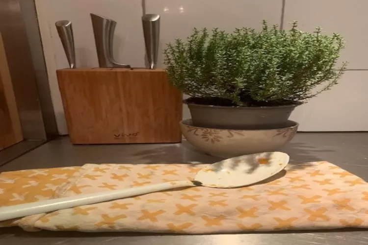 Huize Columbus-Sfeer