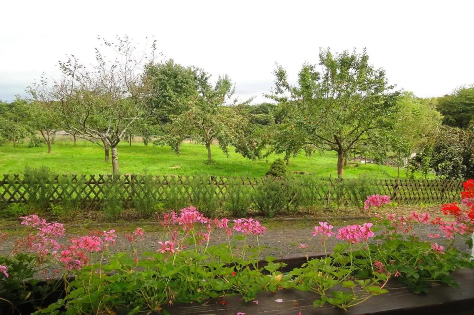 Heiderhof - Double Room-Tuinen zomer