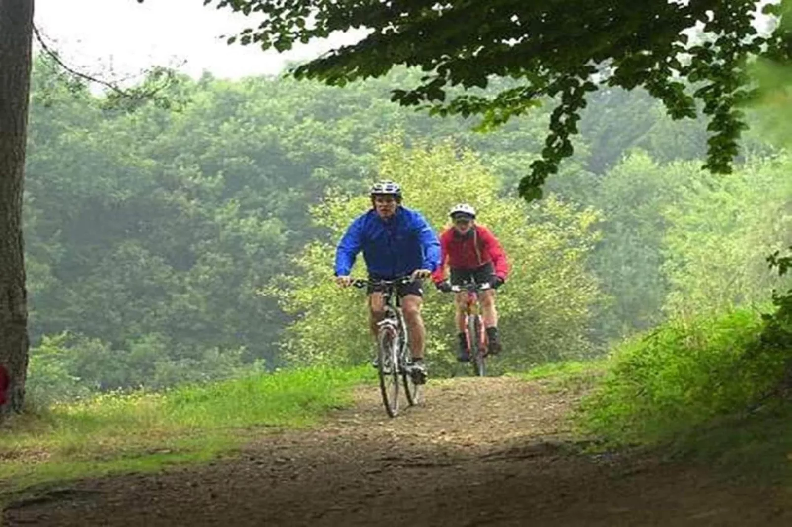 Heiderhof - Double Room-Gebieden zomer 1km