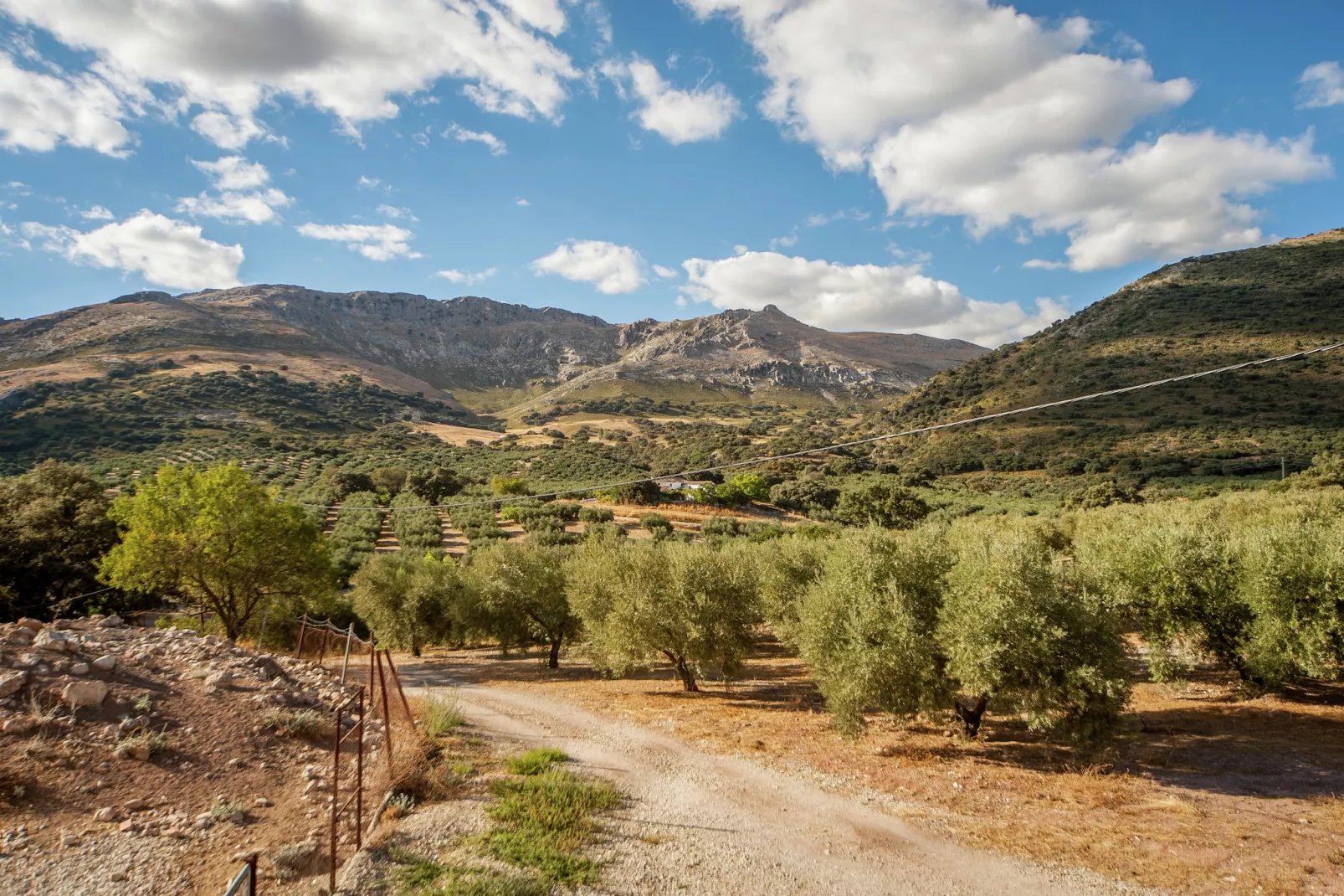 Cortijo El Llano-Gebieden zomer 1km
