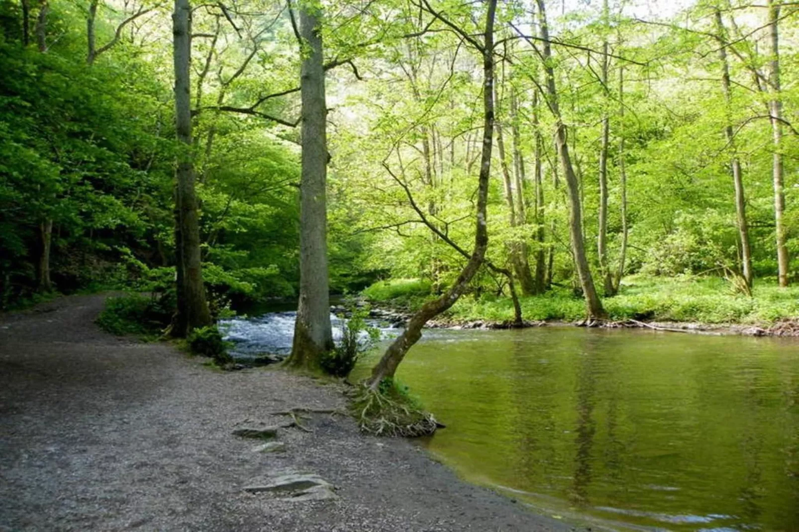 Heiderhof - Single Room-Gebieden zomer 5km