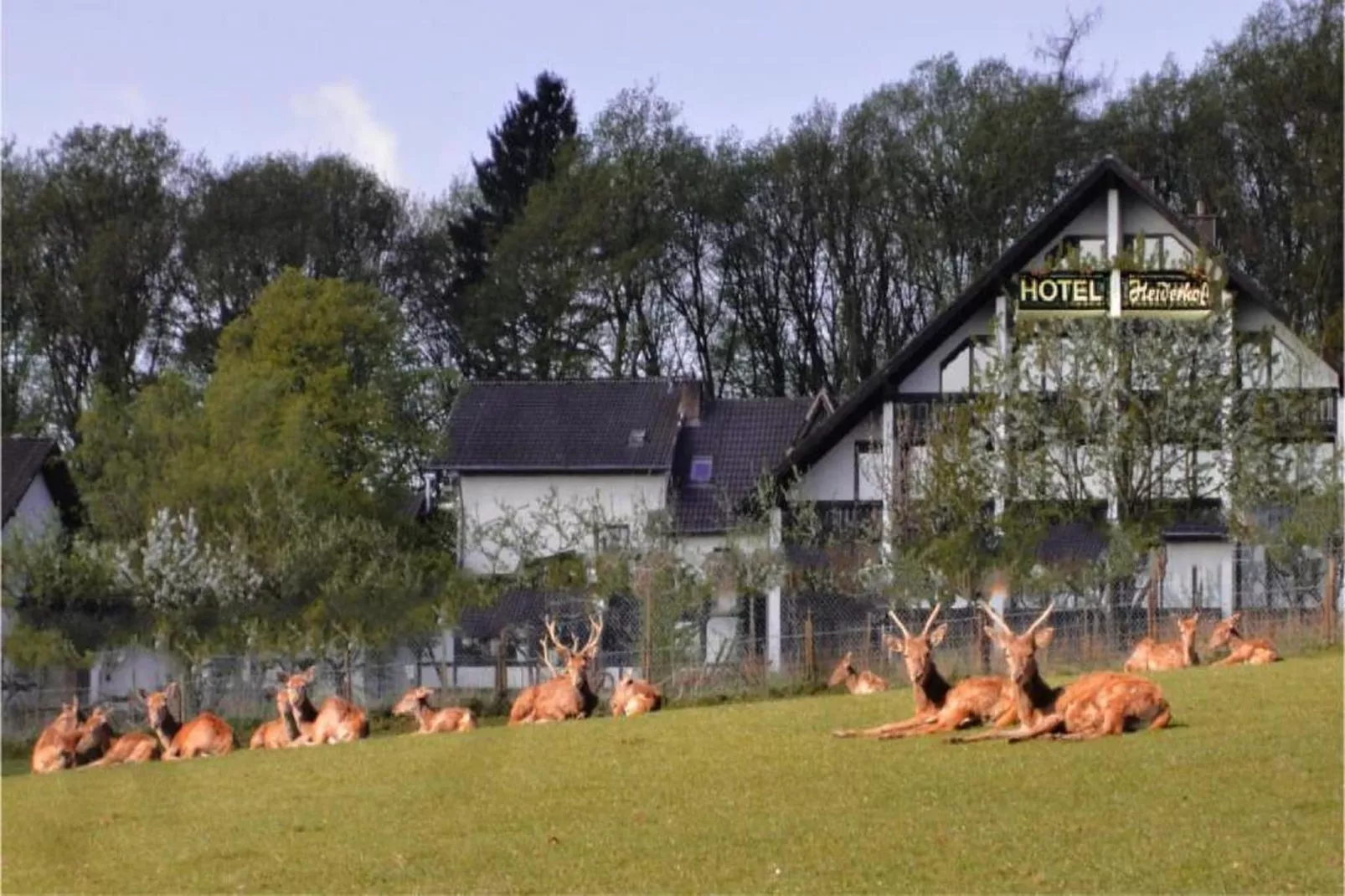 Heiderhof - Double Room-Sfeer