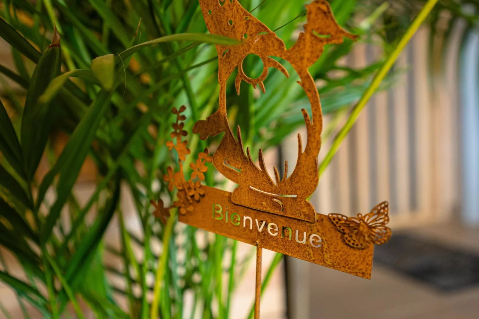 Appartement Spa Vip 2/3 - Sfeer