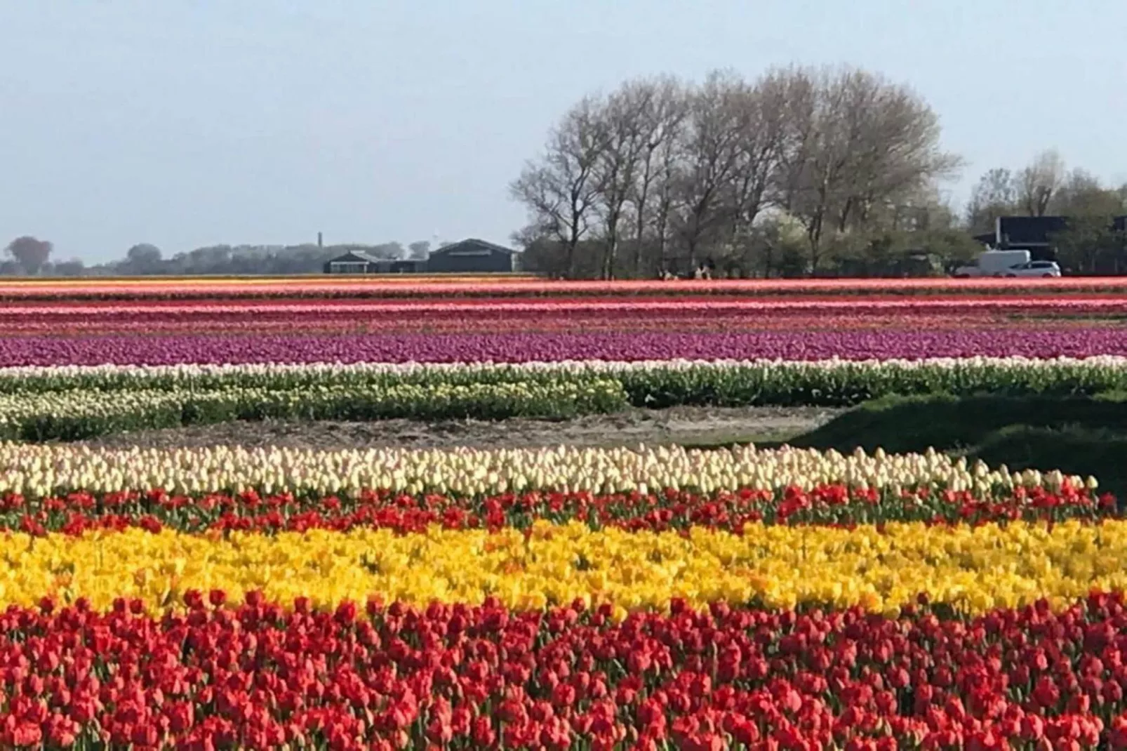 Ruyghe Hoeck 4 - Uitzicht zomer