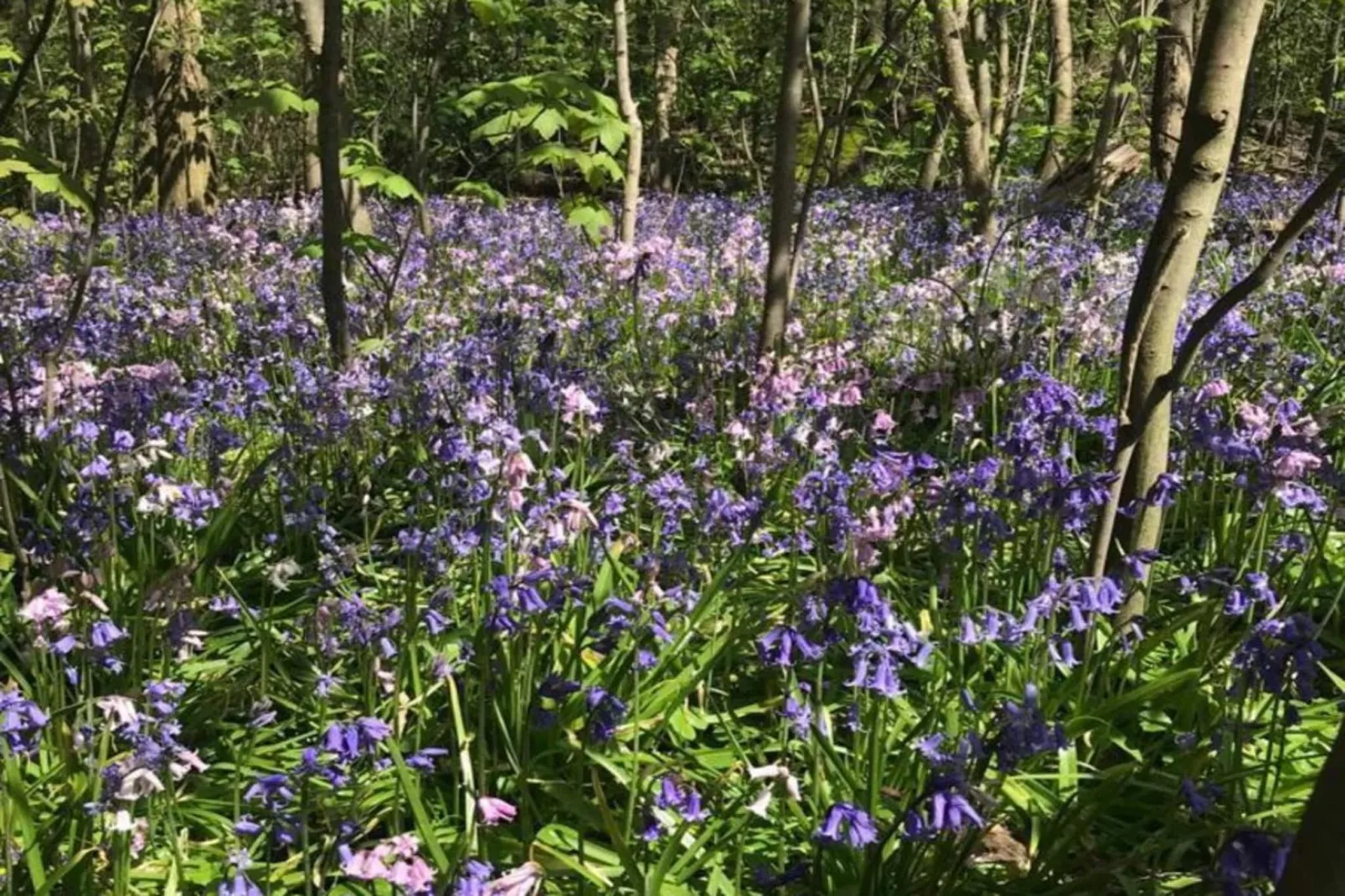 Ruyghe Hoeck 4 - Sfeer