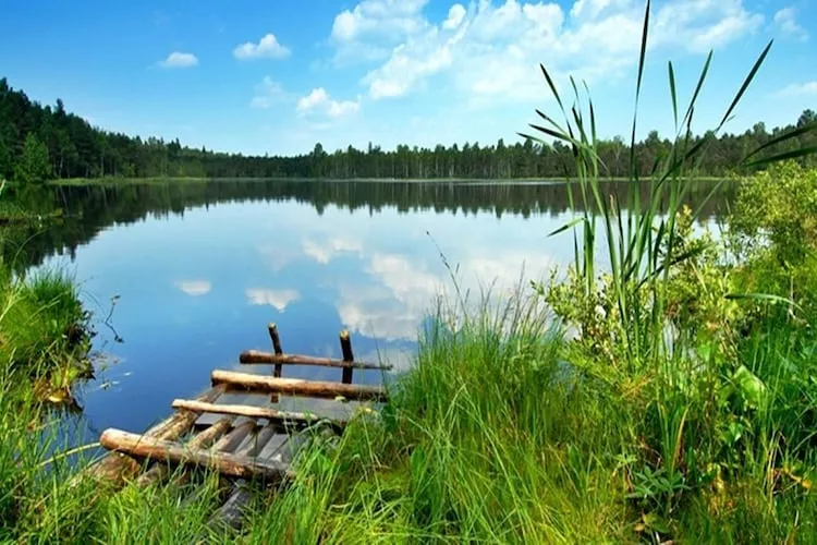 Domki wakacyjne z basenem i jacuzzi Osieki-Gebieden zomer 1km