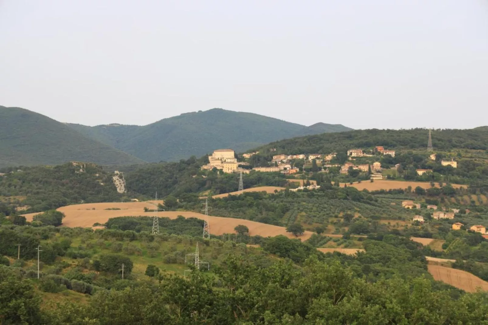Pertinace-Gebieden zomer 20km