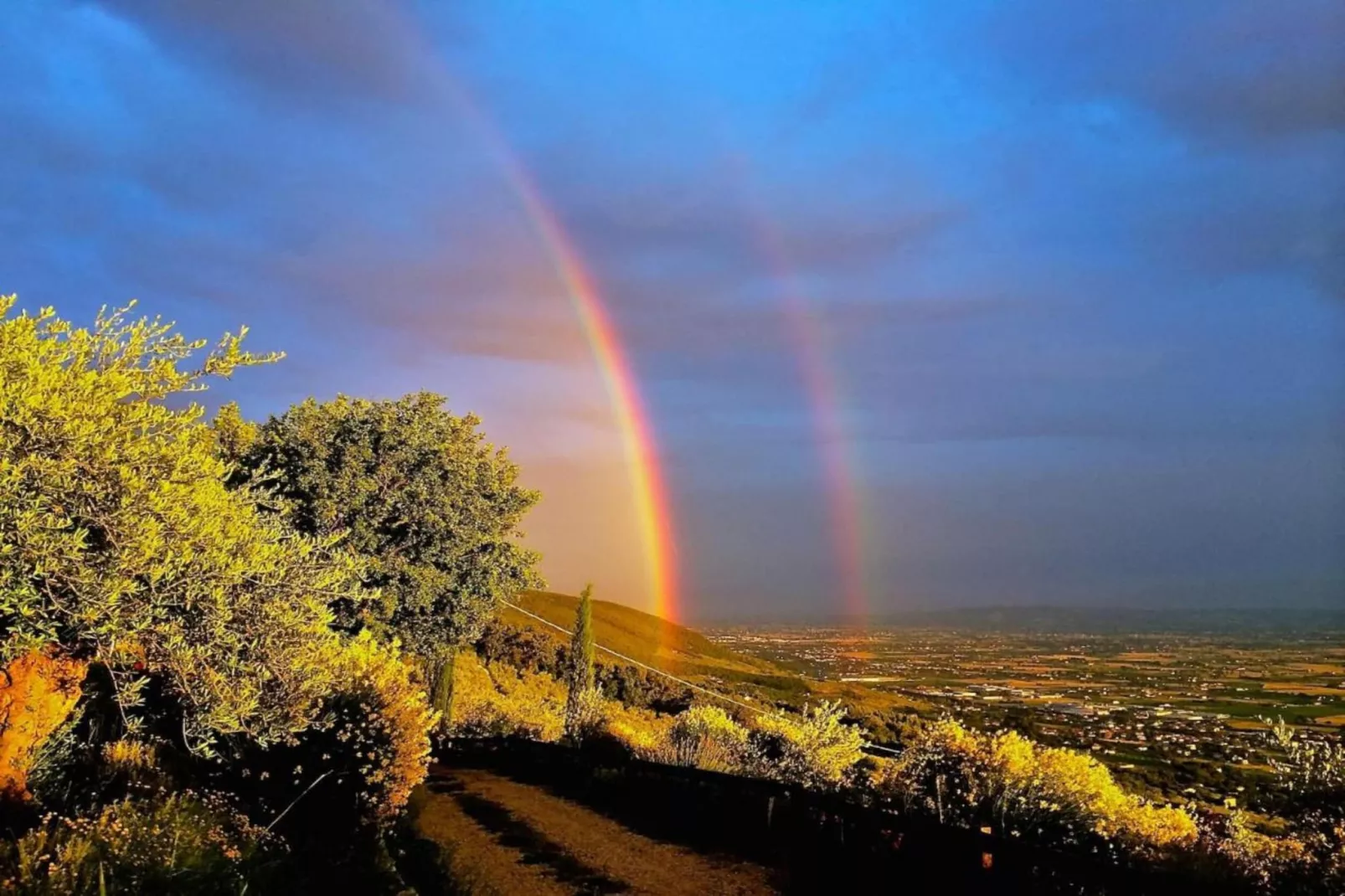 Nerone-Gebieden zomer 20km