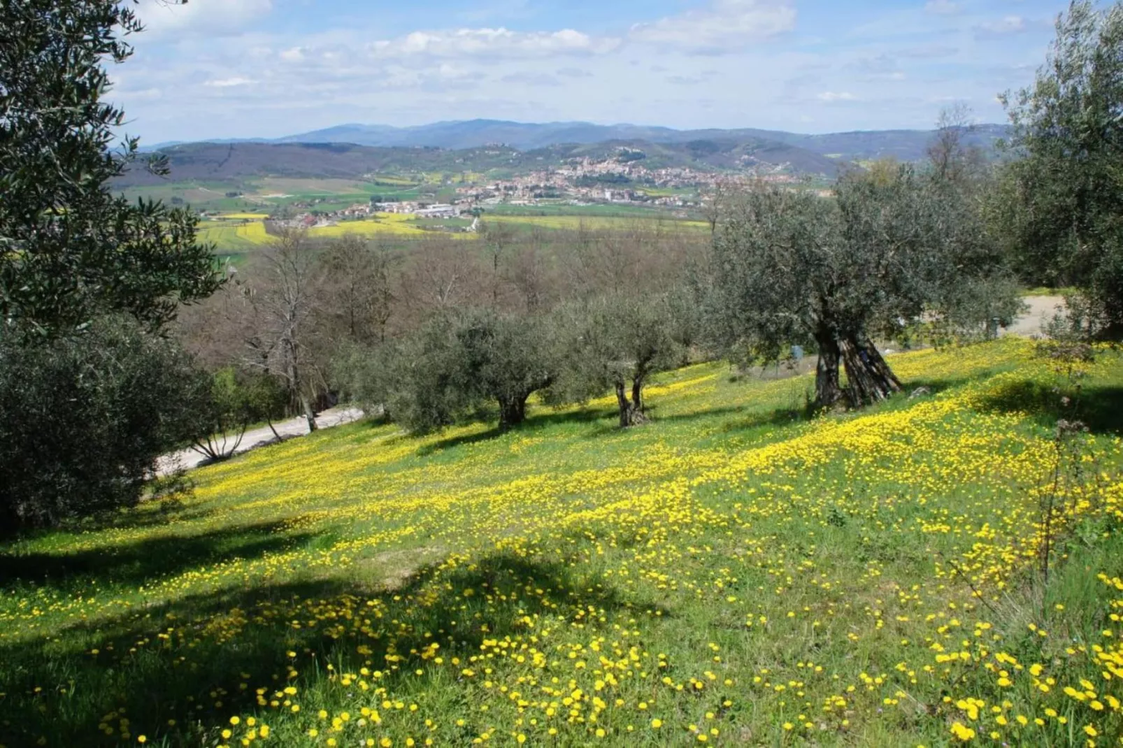 Tito-Gebieden zomer 20km