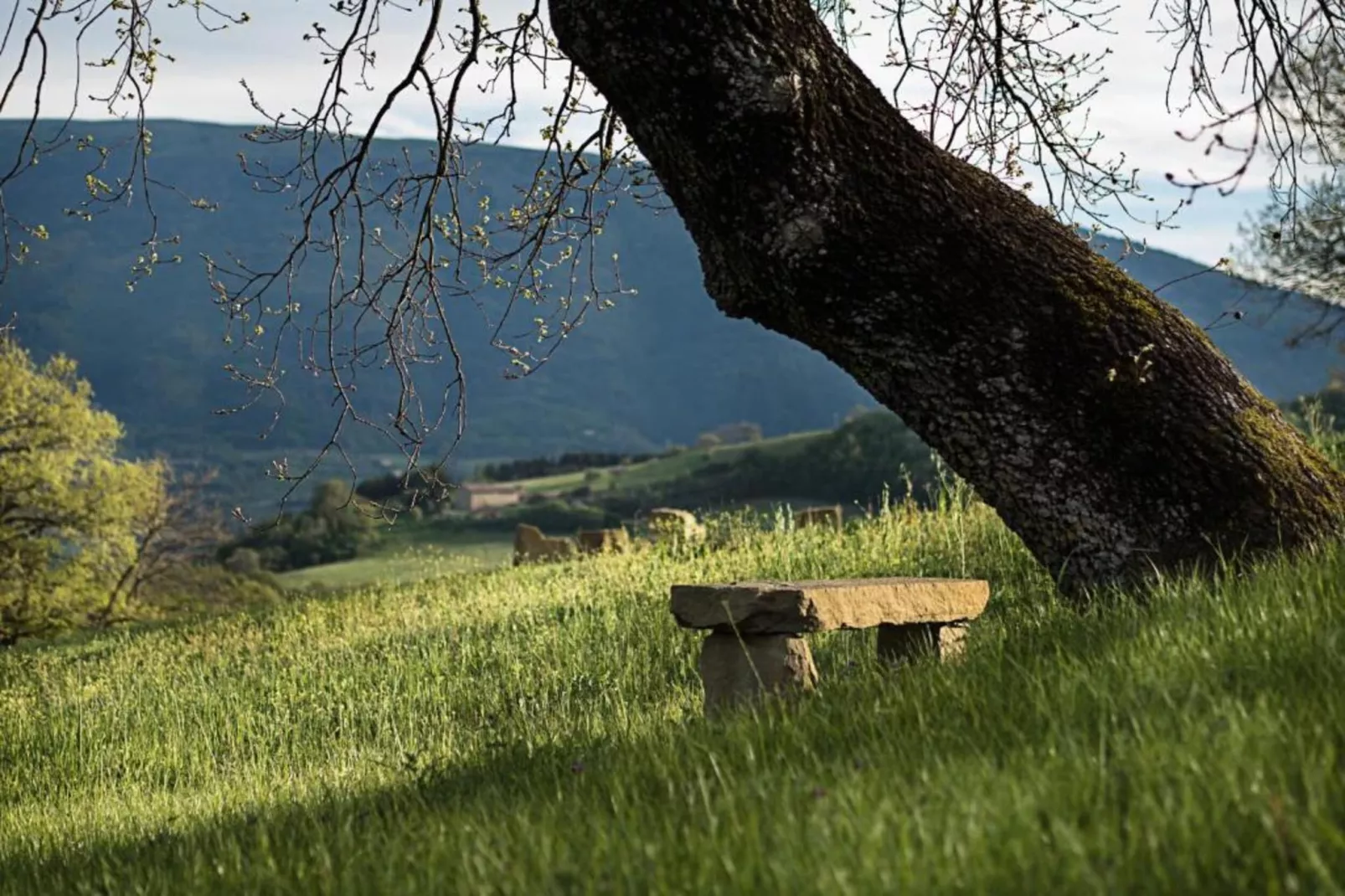 Nerone-Gebieden zomer 20km