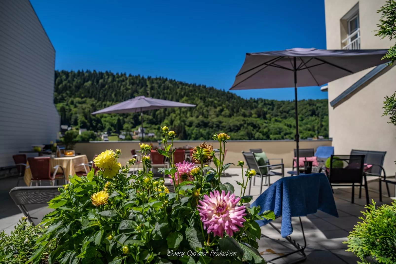Villa Les Dahlias - Le Mont Dore 14pers - Terras