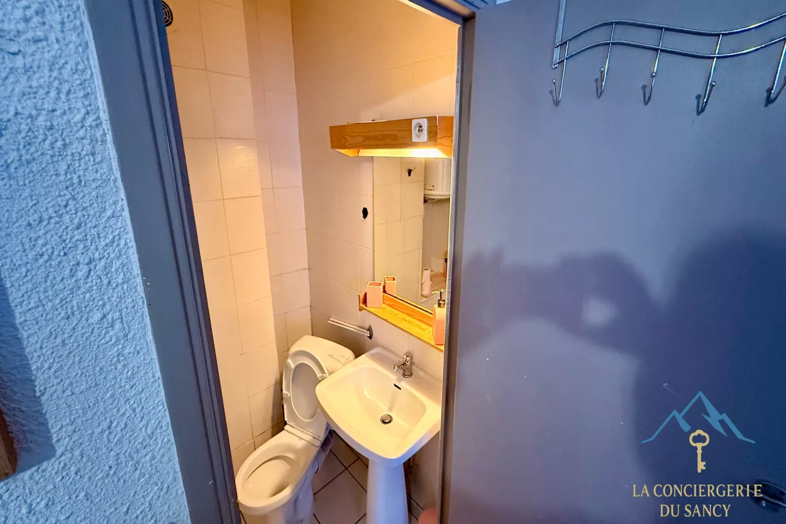 Villa Bleue 2 Le Mont Dore 4pers - Badkamer