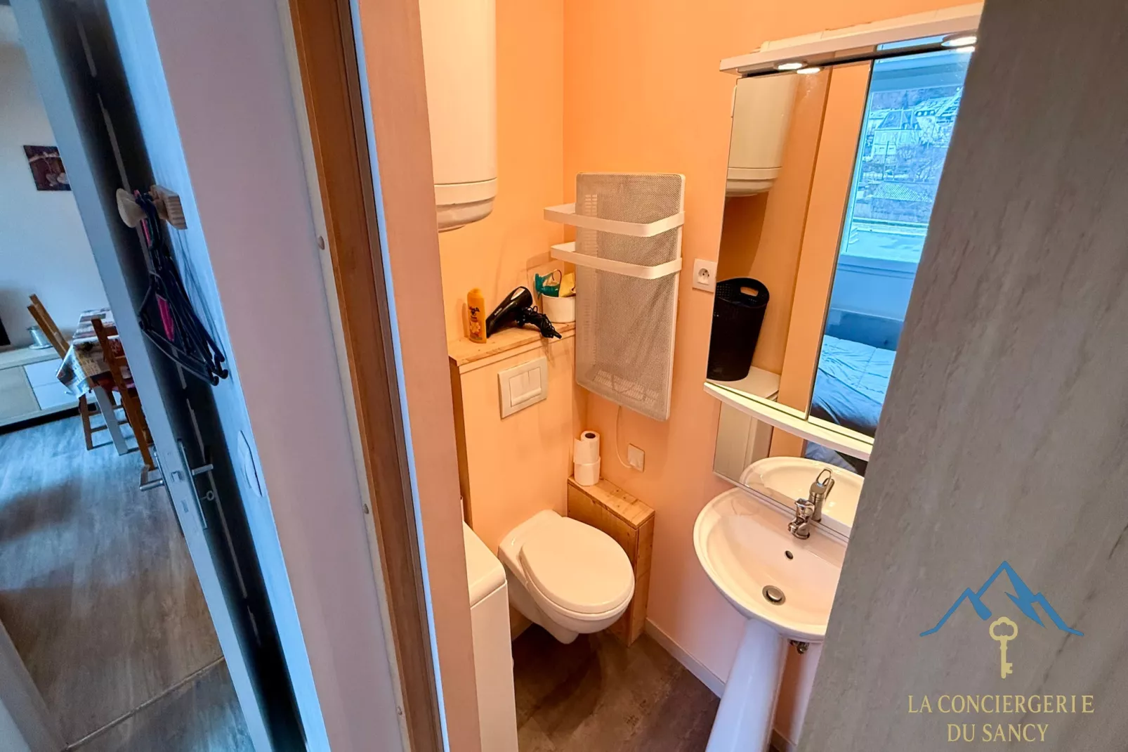 Le Bordeaux 14 Le Mont Dore 2/4pers-Badkamer