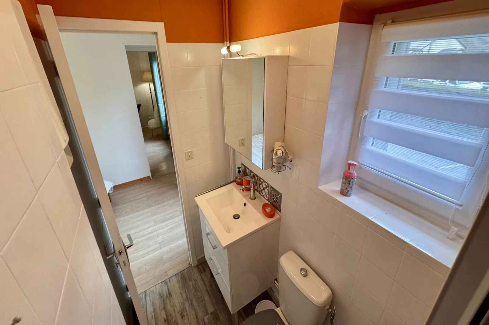 Le Myosotis Le Mont Dore 4pers - Badkamer