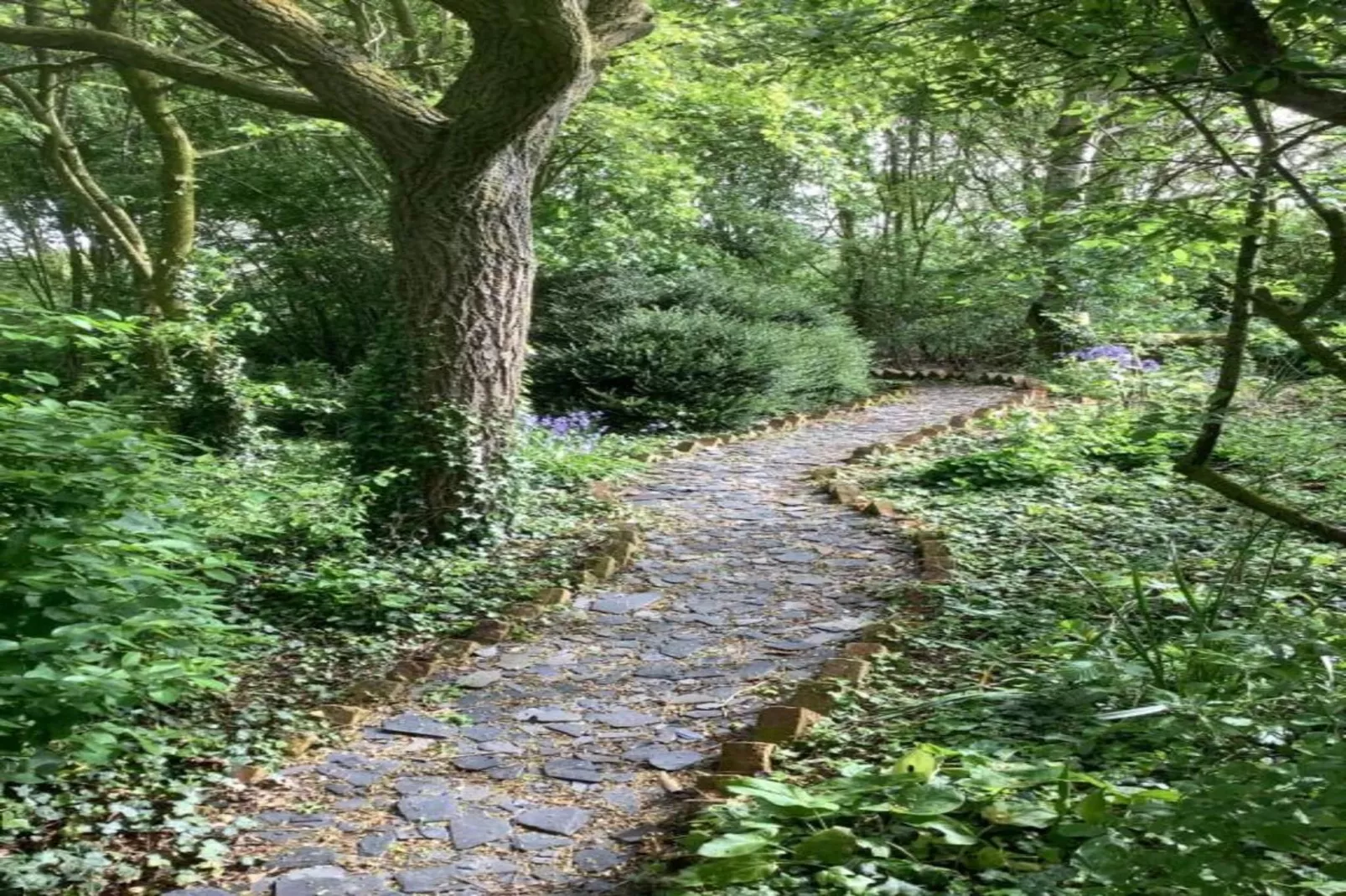 The Roost - Gebieden zomer 20km