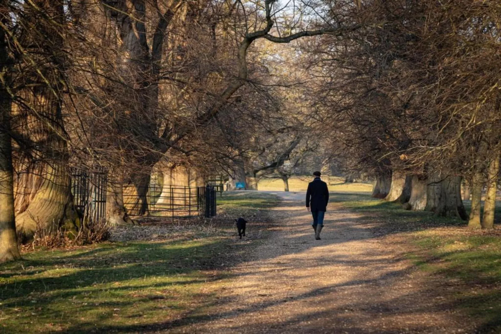 The Den - Gebieden zomer 20km