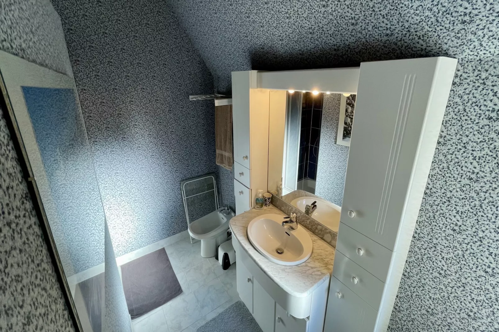 Le Joli Cedre Le Mont Dore-Badkamer