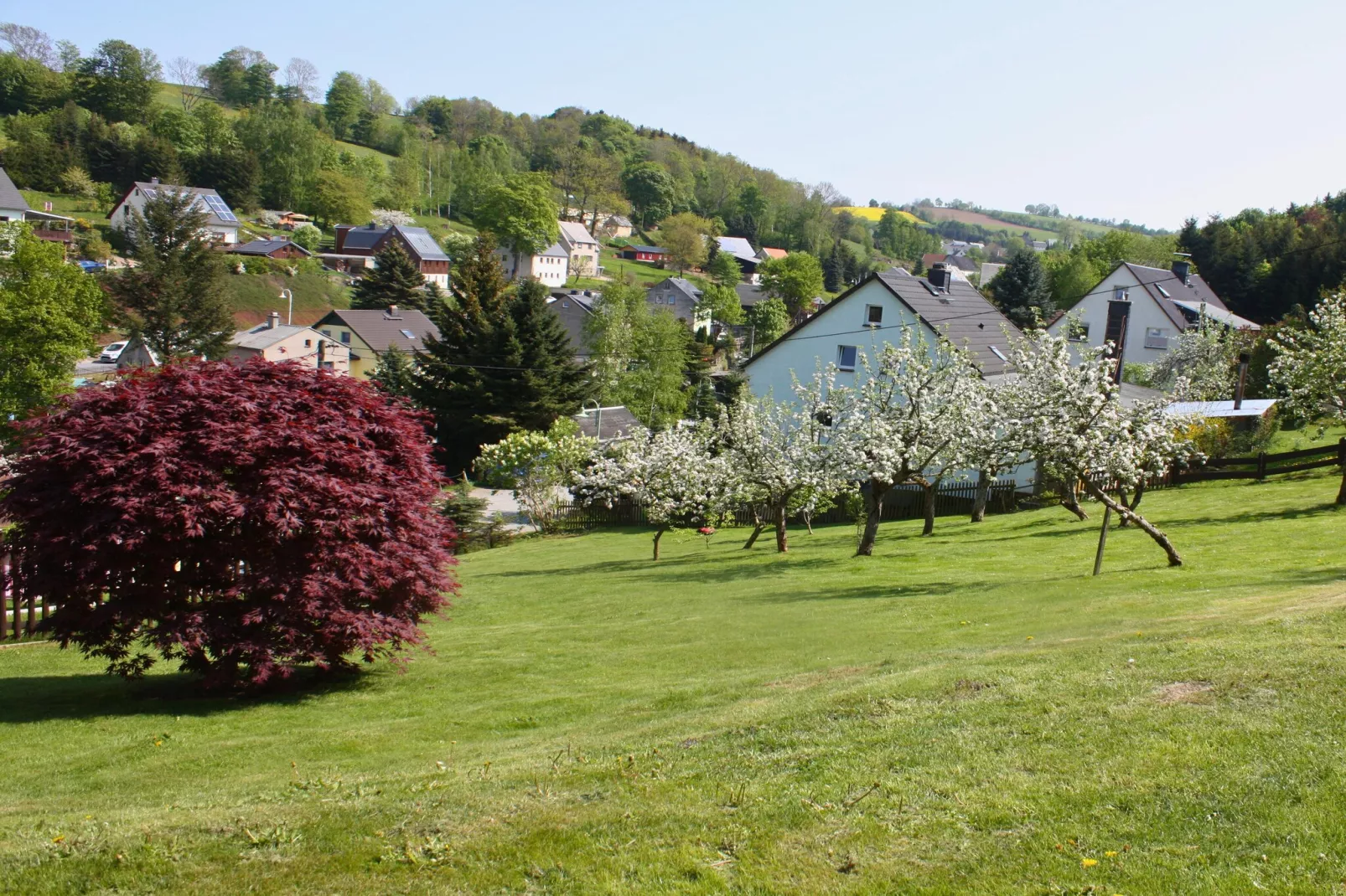 Haus De Kleene & Gruusse-Uitzicht zomer