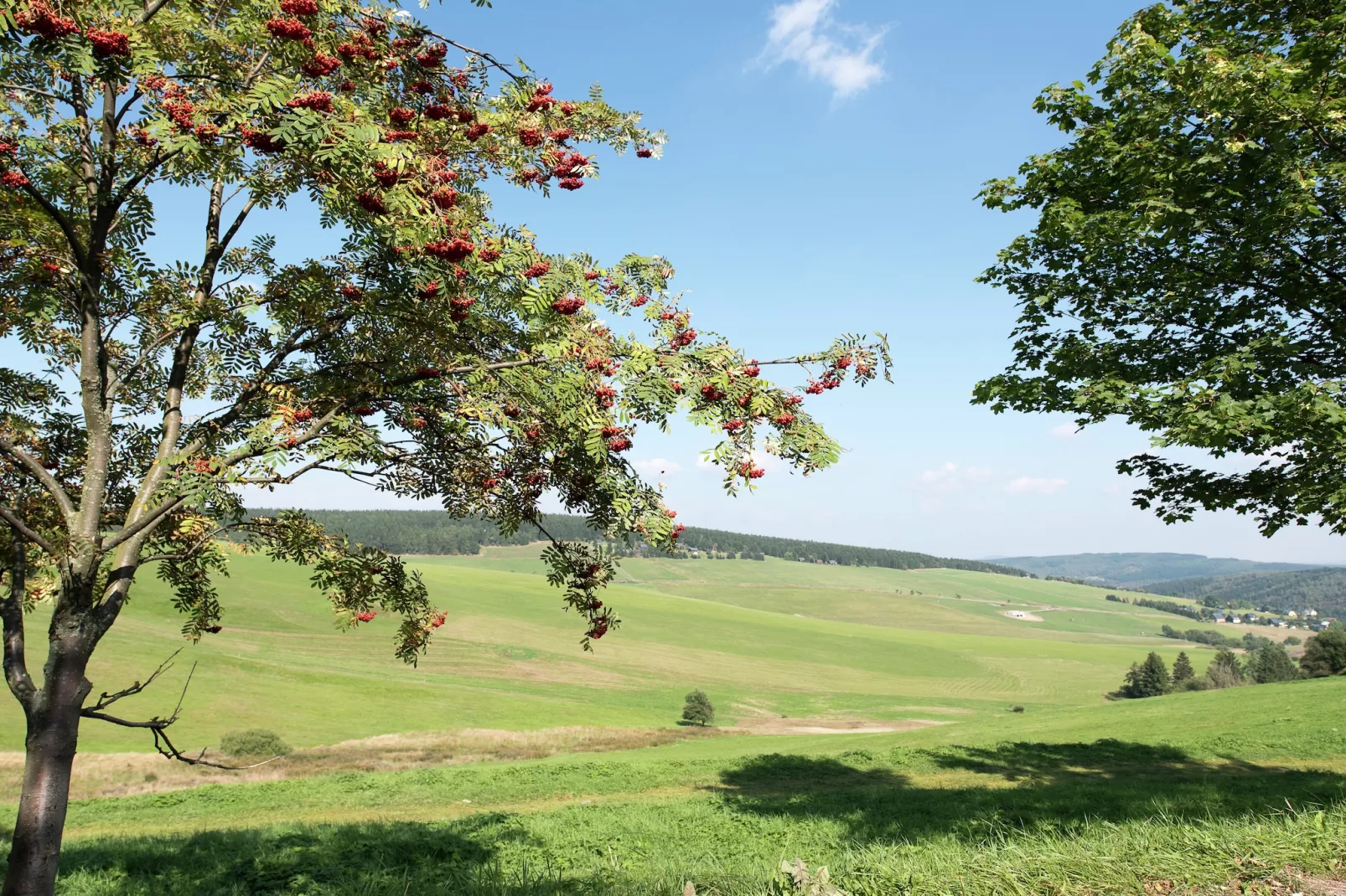Haus De Kleene & Gruusse-Gebieden zomer 5km
