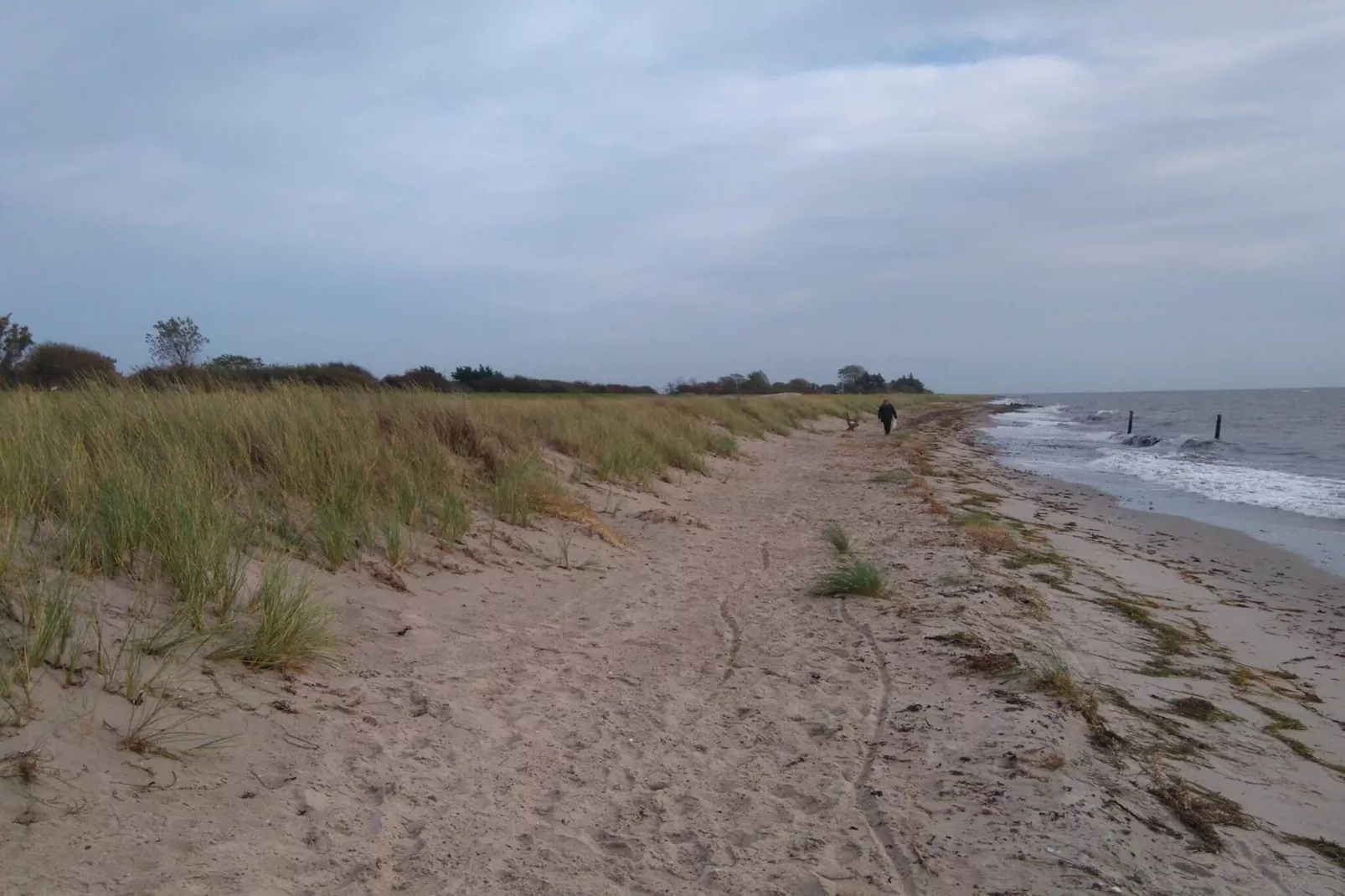 6 Personen vakantie huis in Dannemare-Buitenlucht