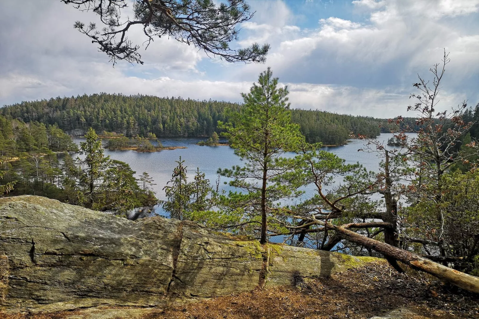 4 Personen vakantie huis in HÄLLEVADSHOLM-Niet-getagd