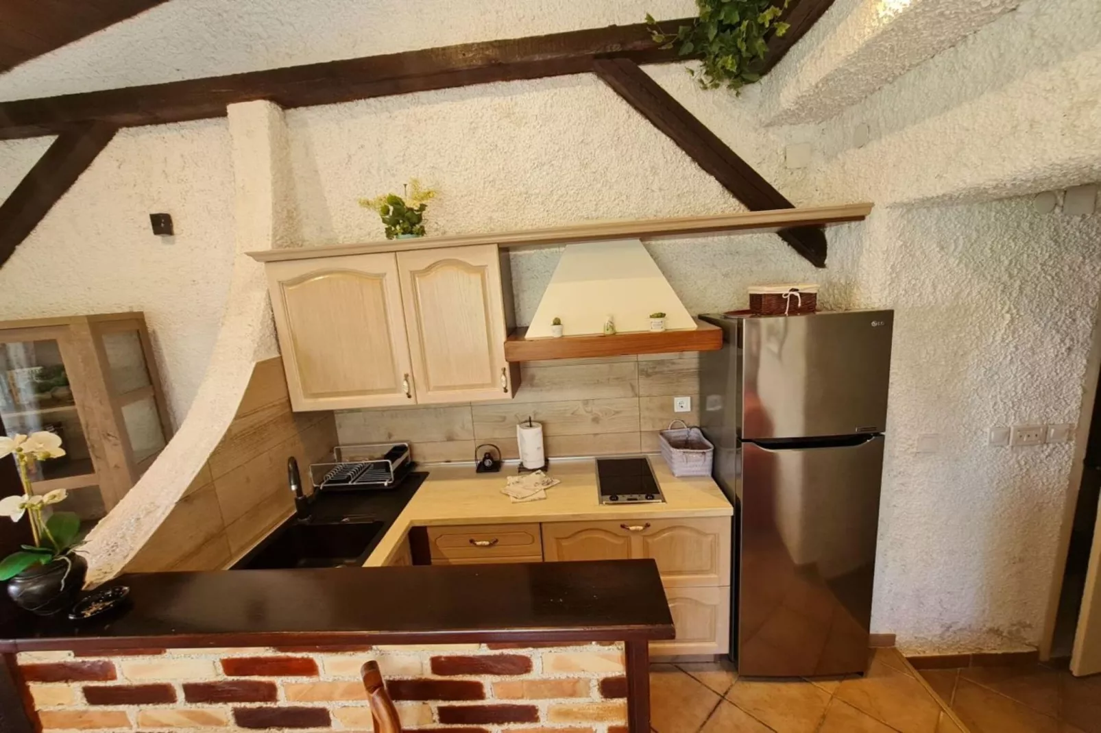 Apartment Erna in Porec, Istria - Keuken