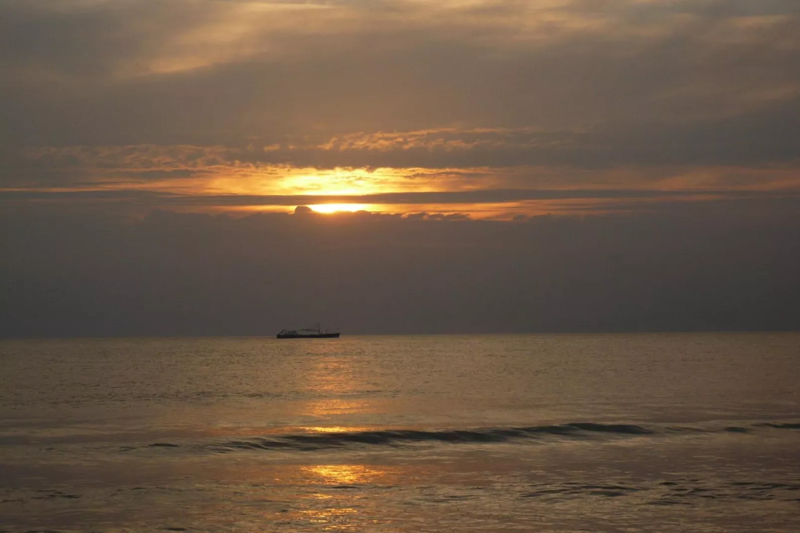 Campanula 56 - Gebieden zomer 5km