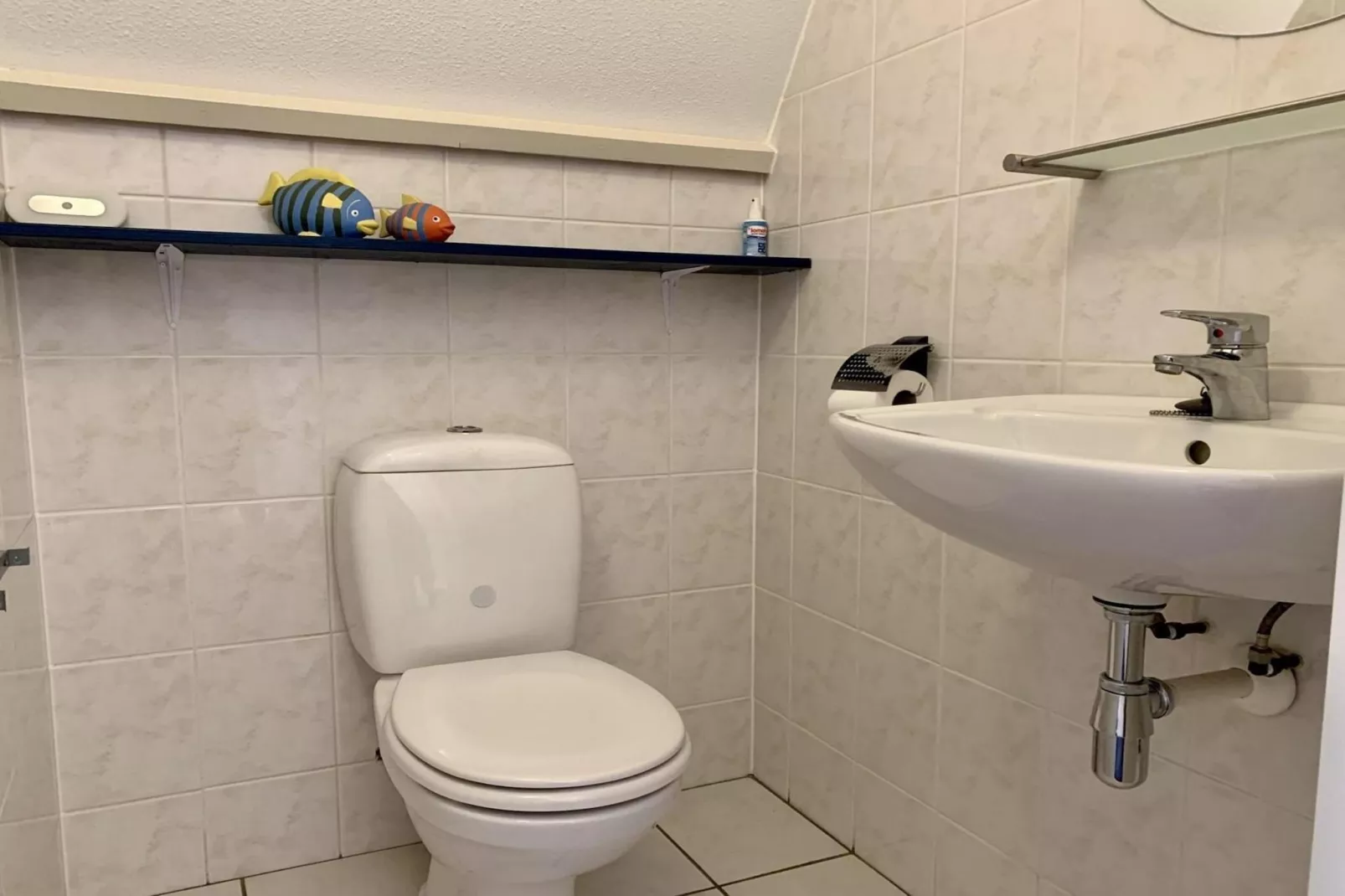 Campanula 56 - Terrasbalkon