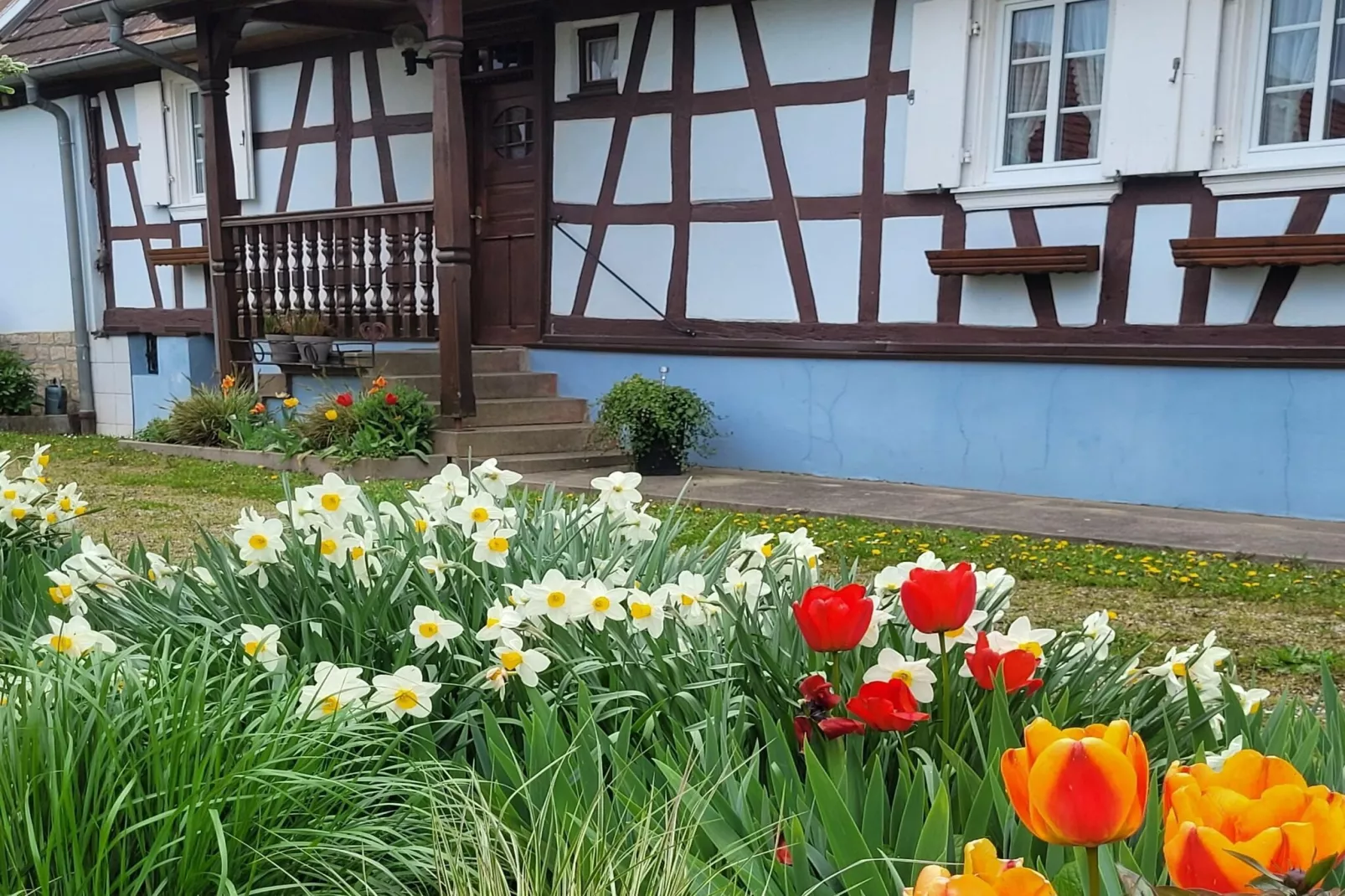 Maison de vacances - SCHLEITHAL-Buitenkant zomer