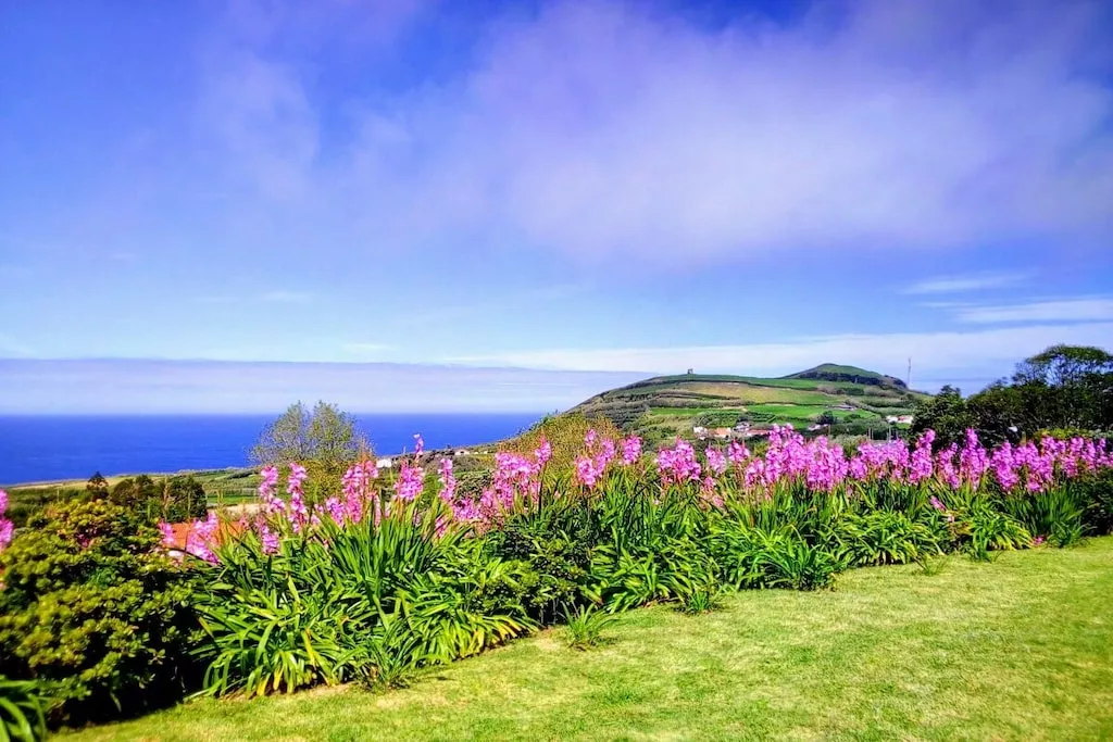 246448 - Niet-getagd