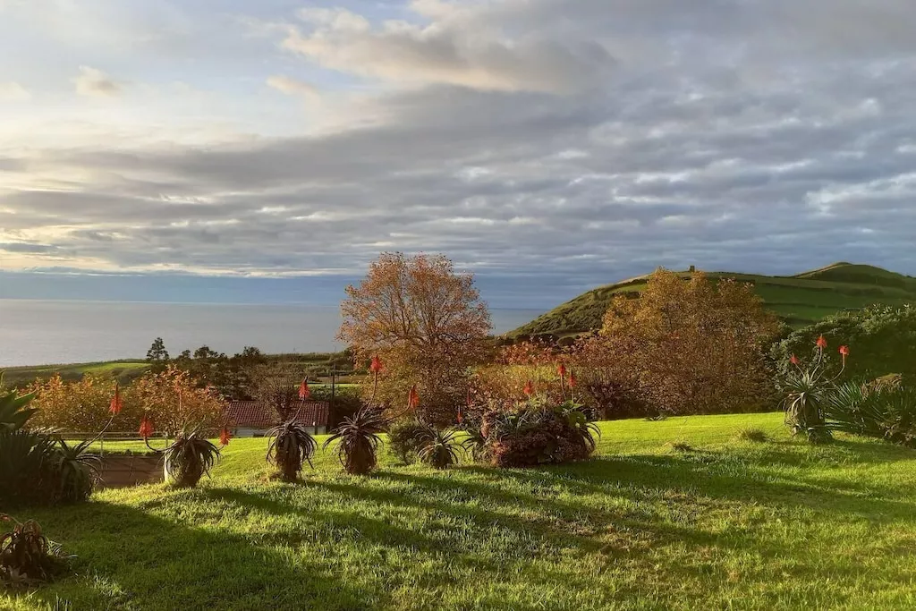 246448 - Niet-getagd