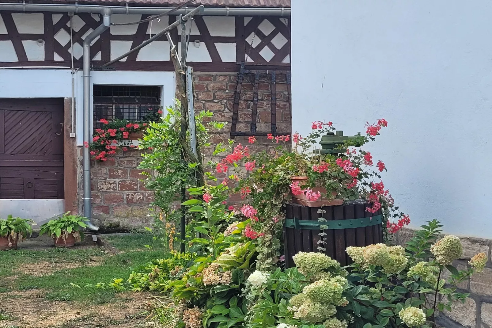 Maison de vacances - SCHLEITHAL-Tuinen zomer