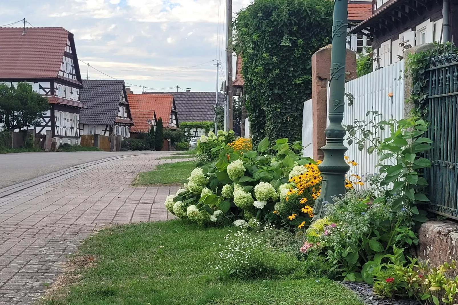 Maison de vacances - SCHLEITHAL-Gebieden zomer 1km