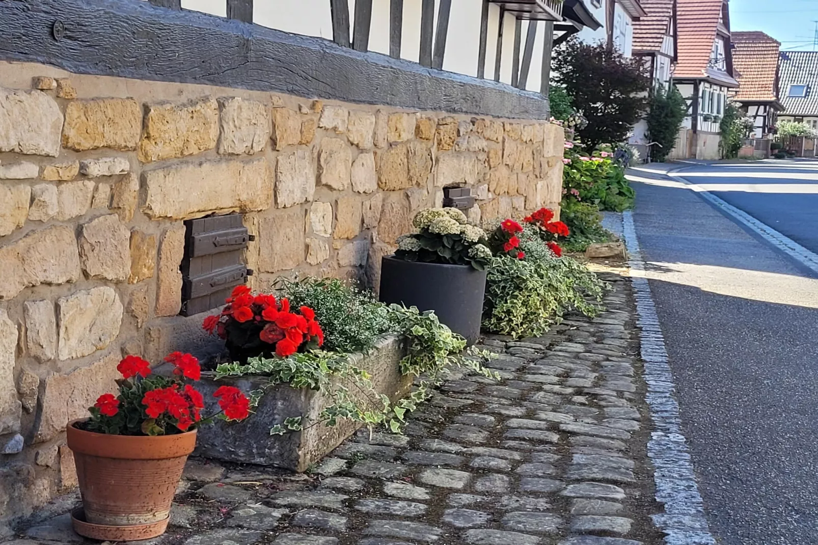 Maison de vacances - SCHLEITHAL-Gebieden zomer 1km