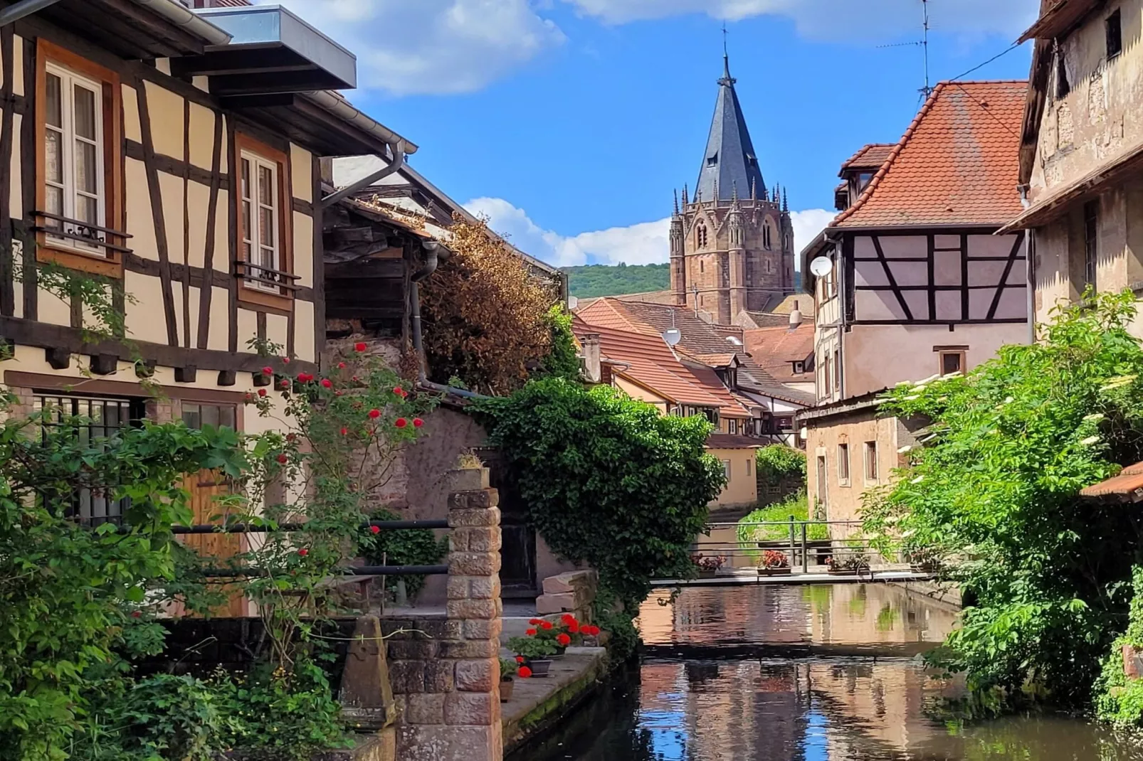 Maison de vacances - SCHLEITHAL-Gebieden zomer 1km