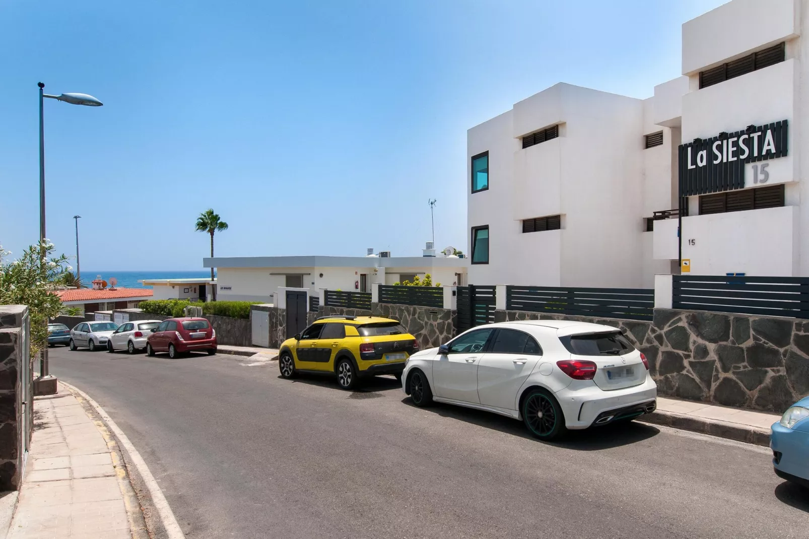 SIESTA 21-Gebieden zomer 1km