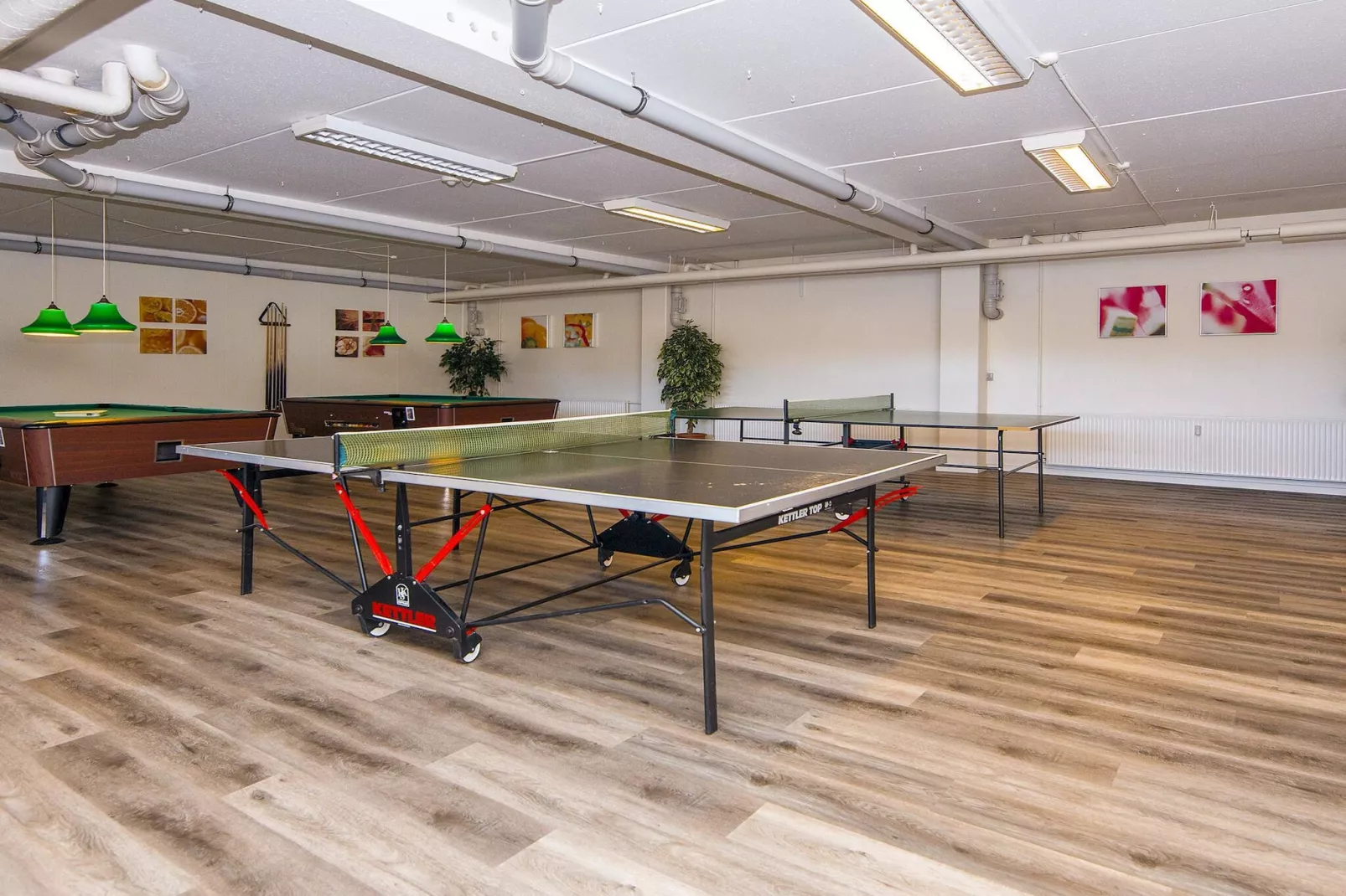 2 room,ground floor or 1. - Niet-getagd