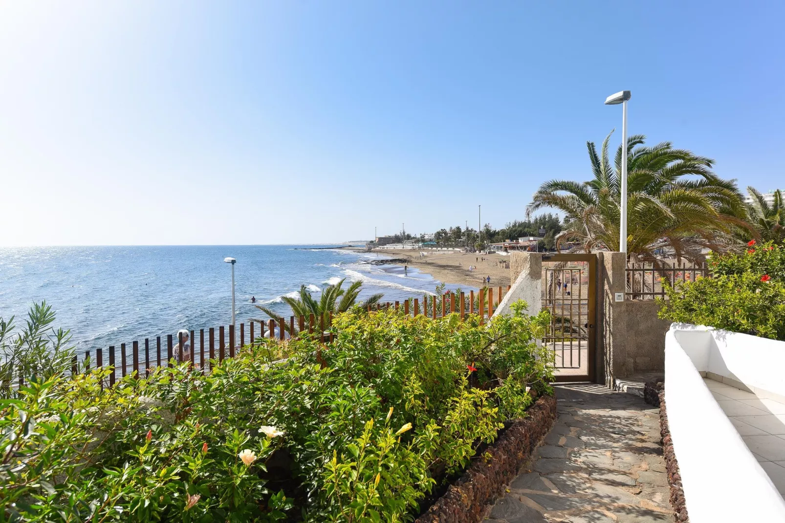 NUEVA SUECIA 523										-Gebieden zomer 5km