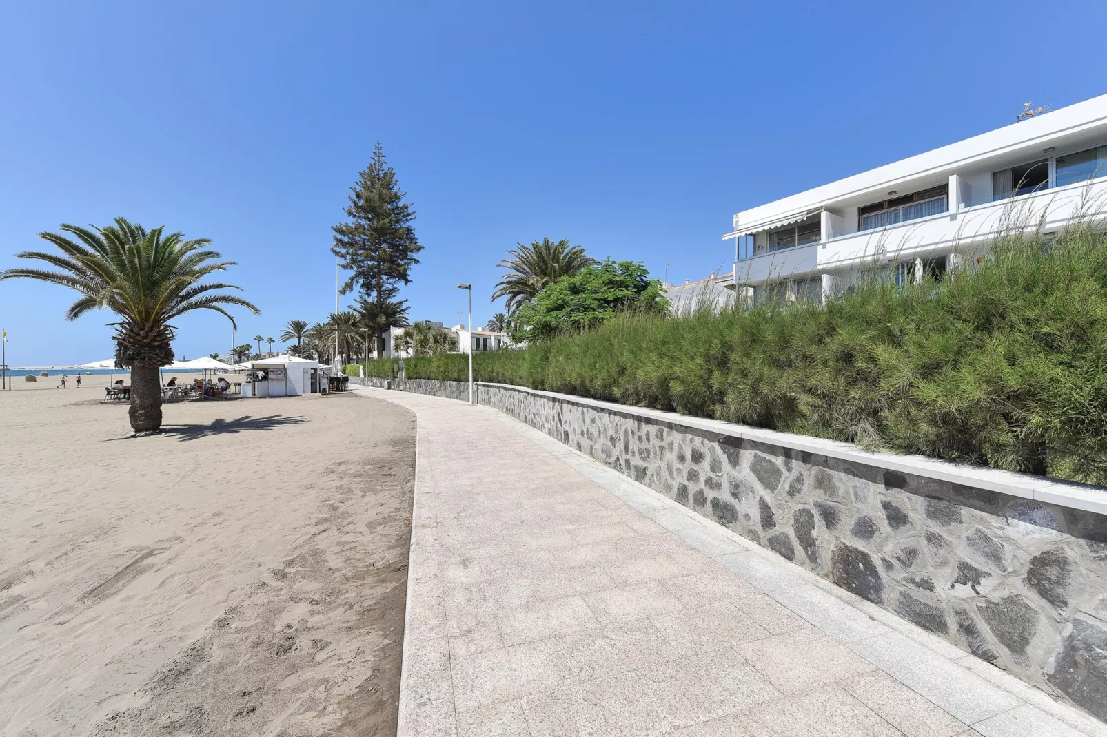 NASAS 12										-Gebieden zomer 1km