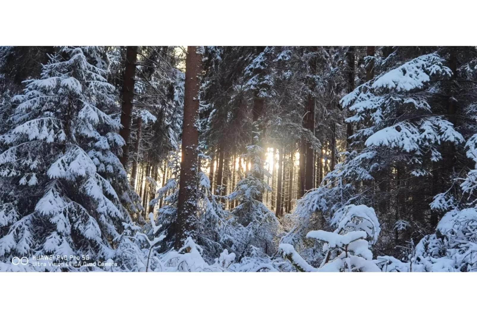 Möhrenbach - Gebied winter 1km